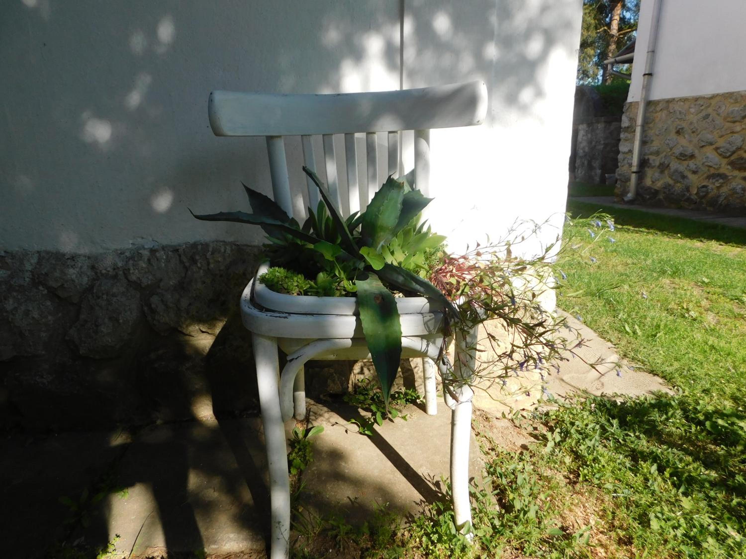 Photo 51