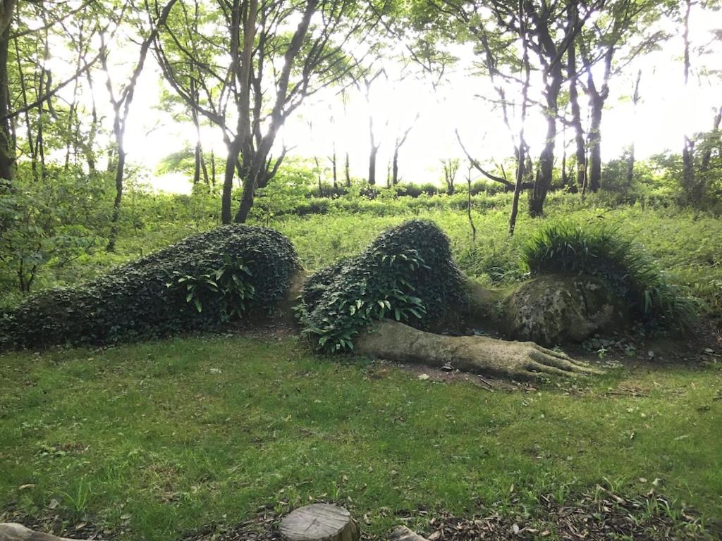 Photo 12