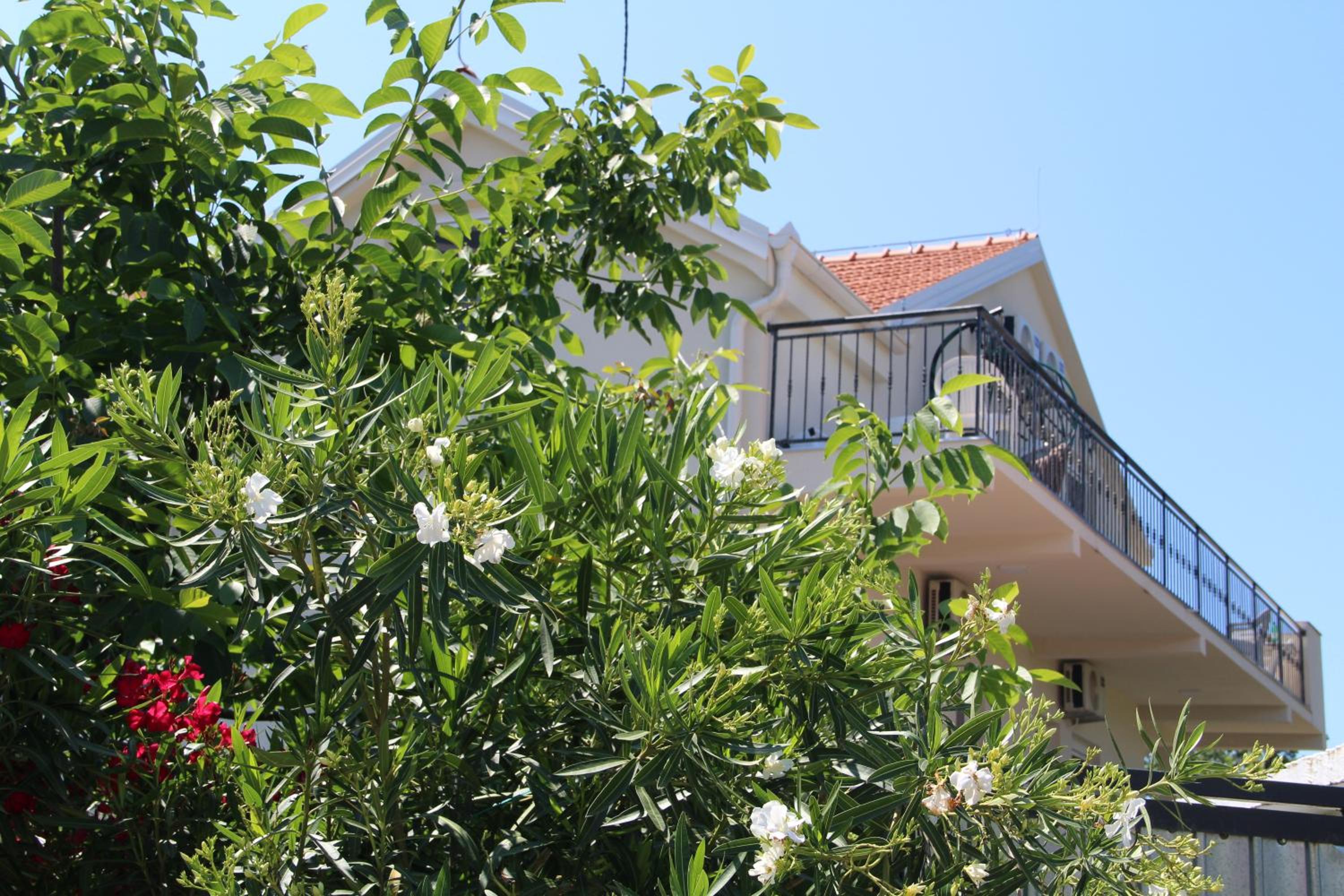 Apartments Lustica view 3