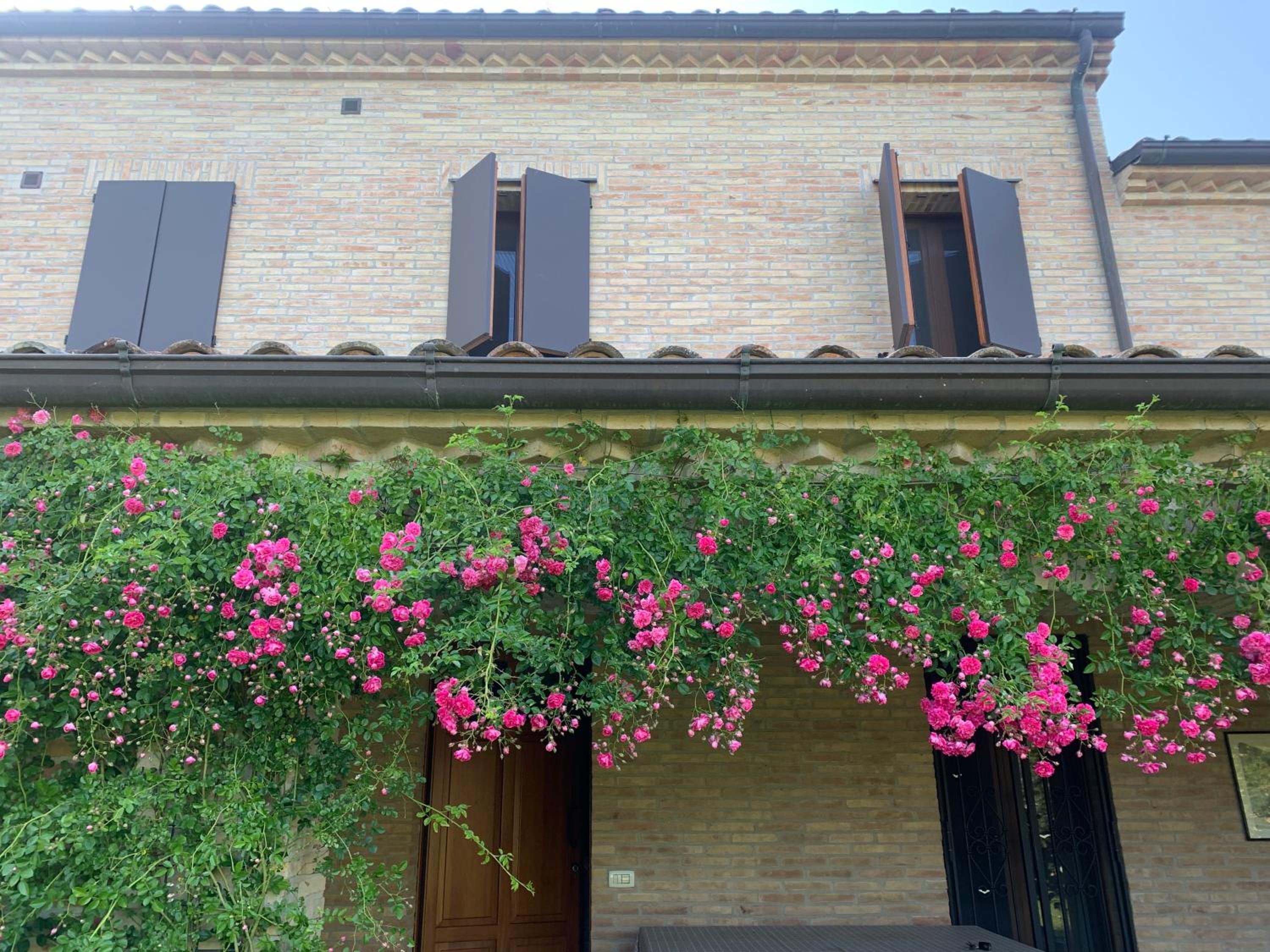 Guest House Vagamondo