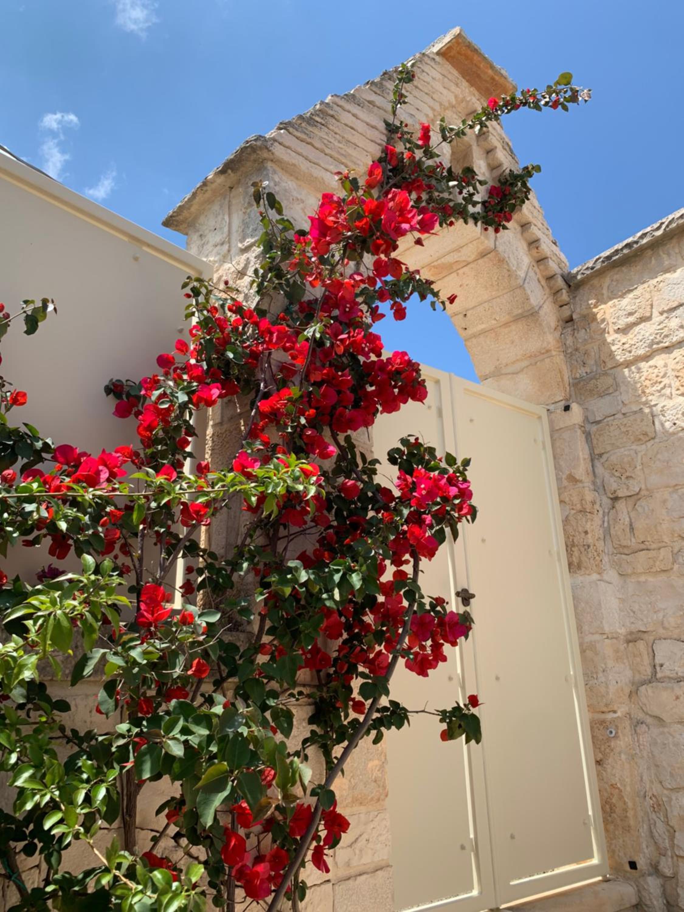 Trullo Monte Olimpo 5 view 4