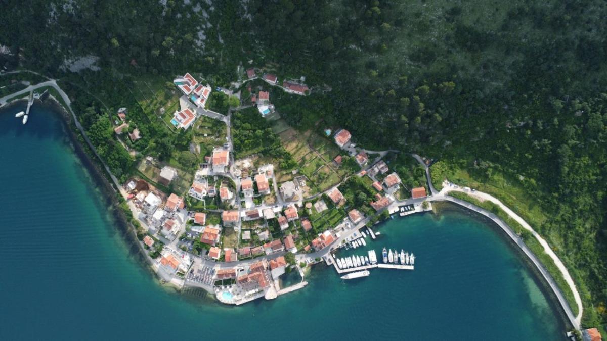 Apartmani Filip Kitić photo 2