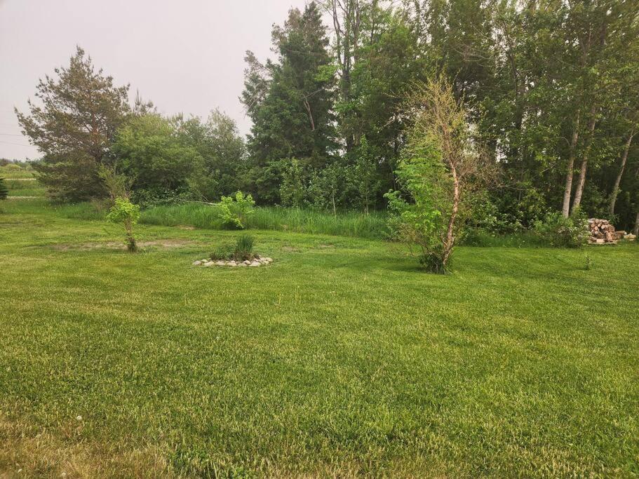 Hot tub, fire pit, BBQ grill, infrared sauna view 2
