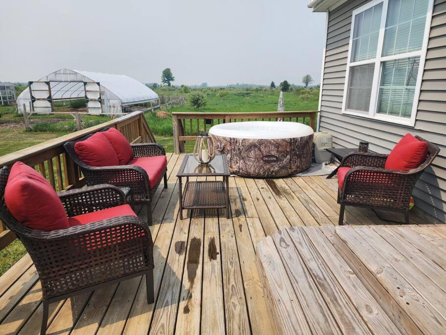 Hot tub, fire pit, BBQ grill, infrared sauna view 5