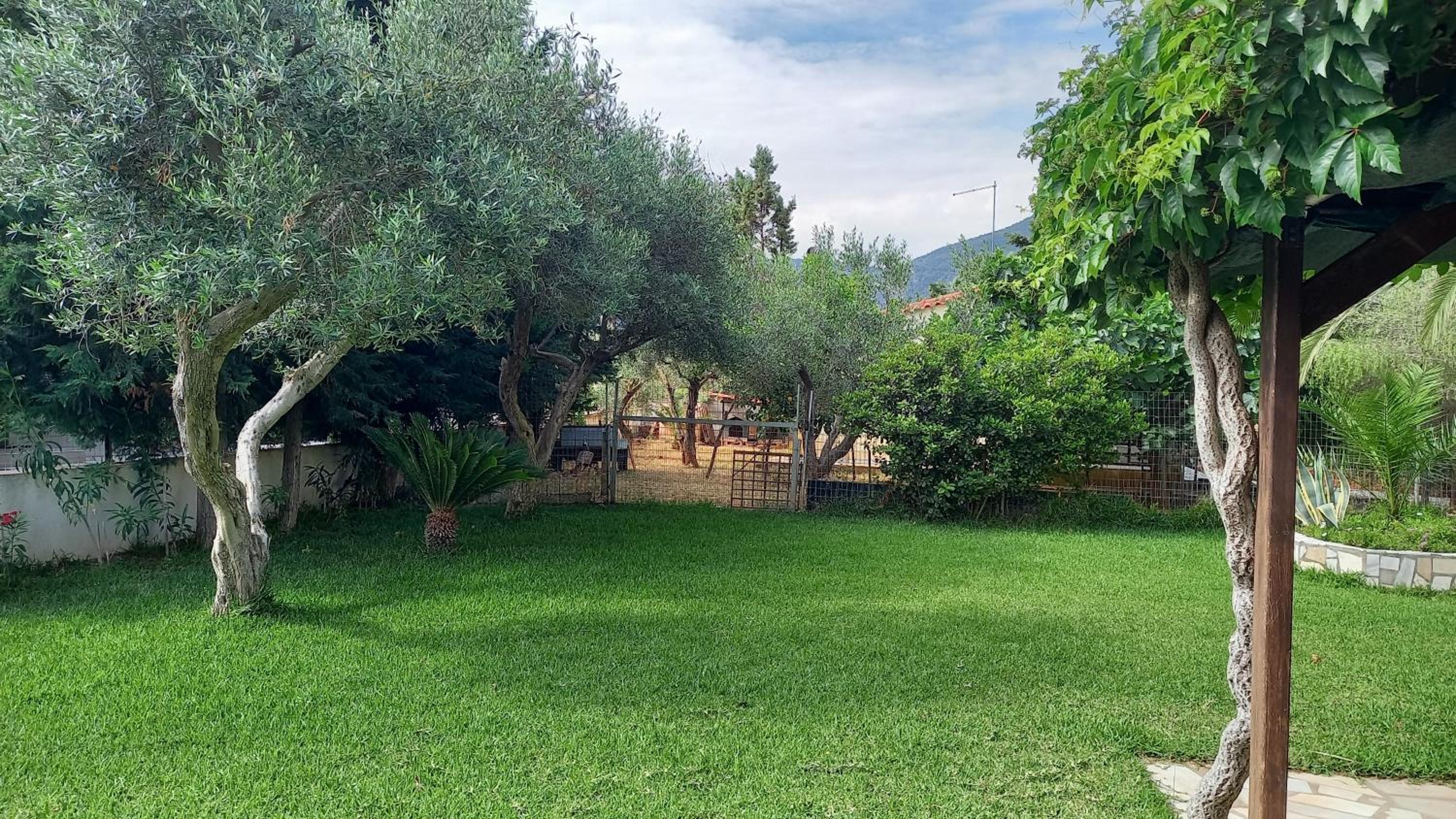 Villa MARGIANI view 3