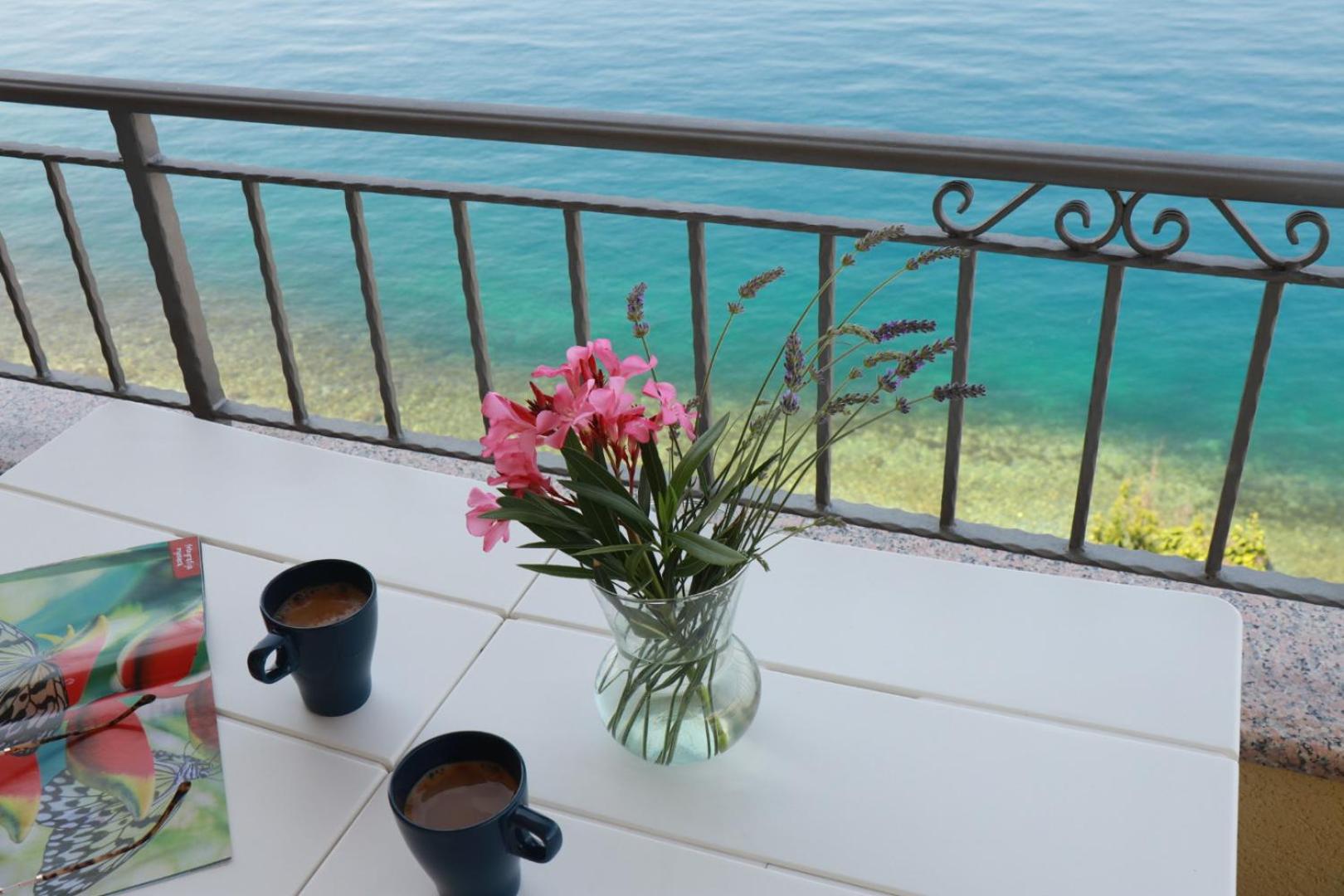 Accommodation Salvia