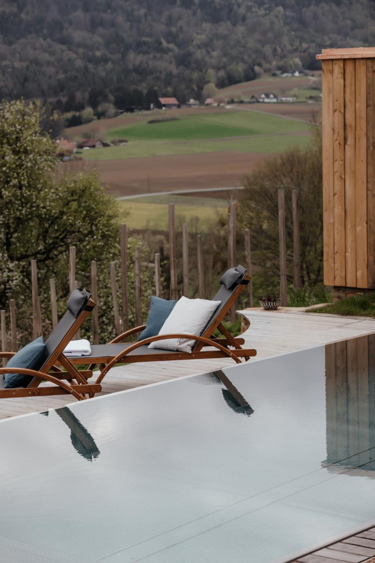 Am Wildbachberg - Luxus Ferienhäuser mit Infinitypool, Privatsauna und Weinkeller