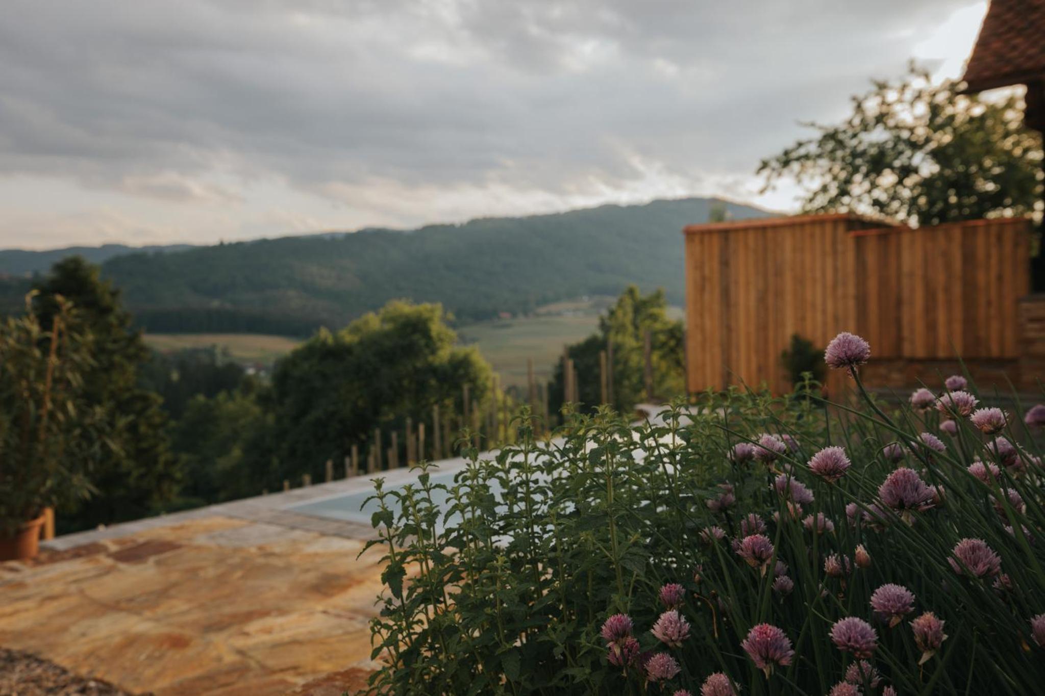 Am Wildbachberg - Luxus Ferienhäuser mit Infinitypool, Privatsauna und Weinkeller