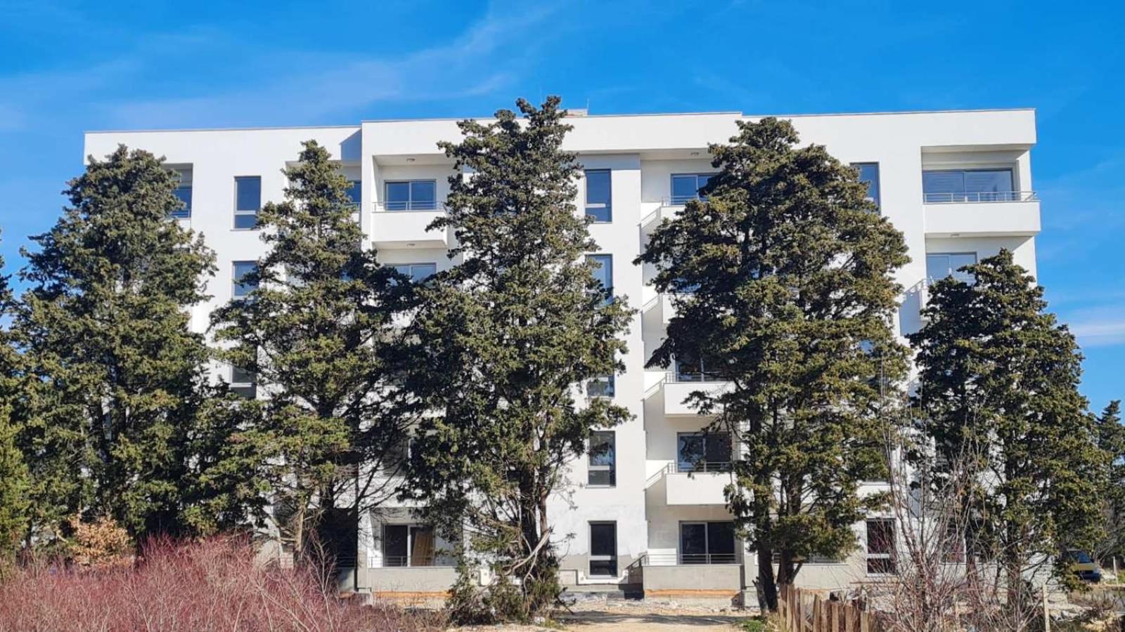 Apartman A6 photo 4