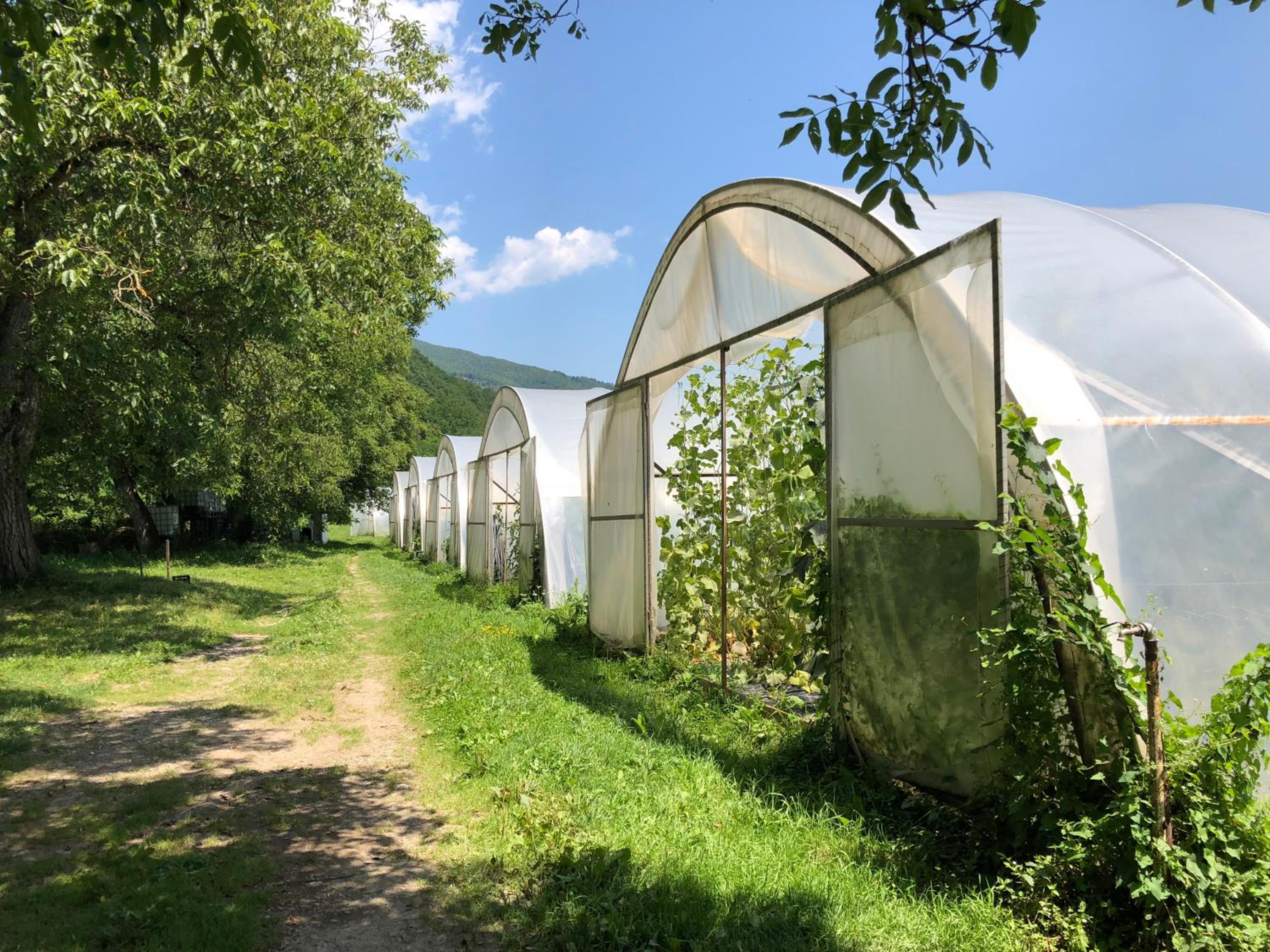 Heritage Home Ustikolina