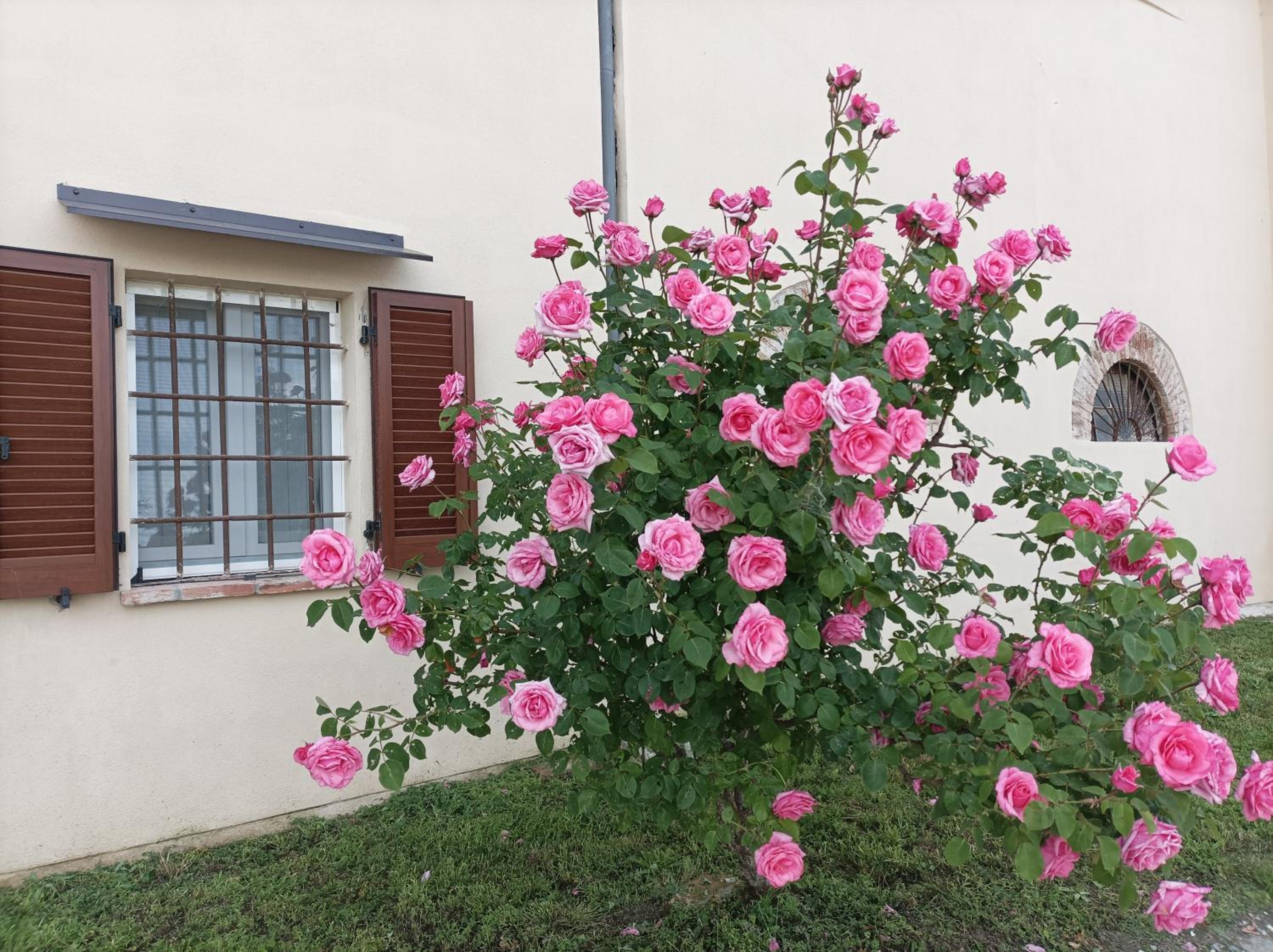 Appartamento in Cascina Cortazza view 3
