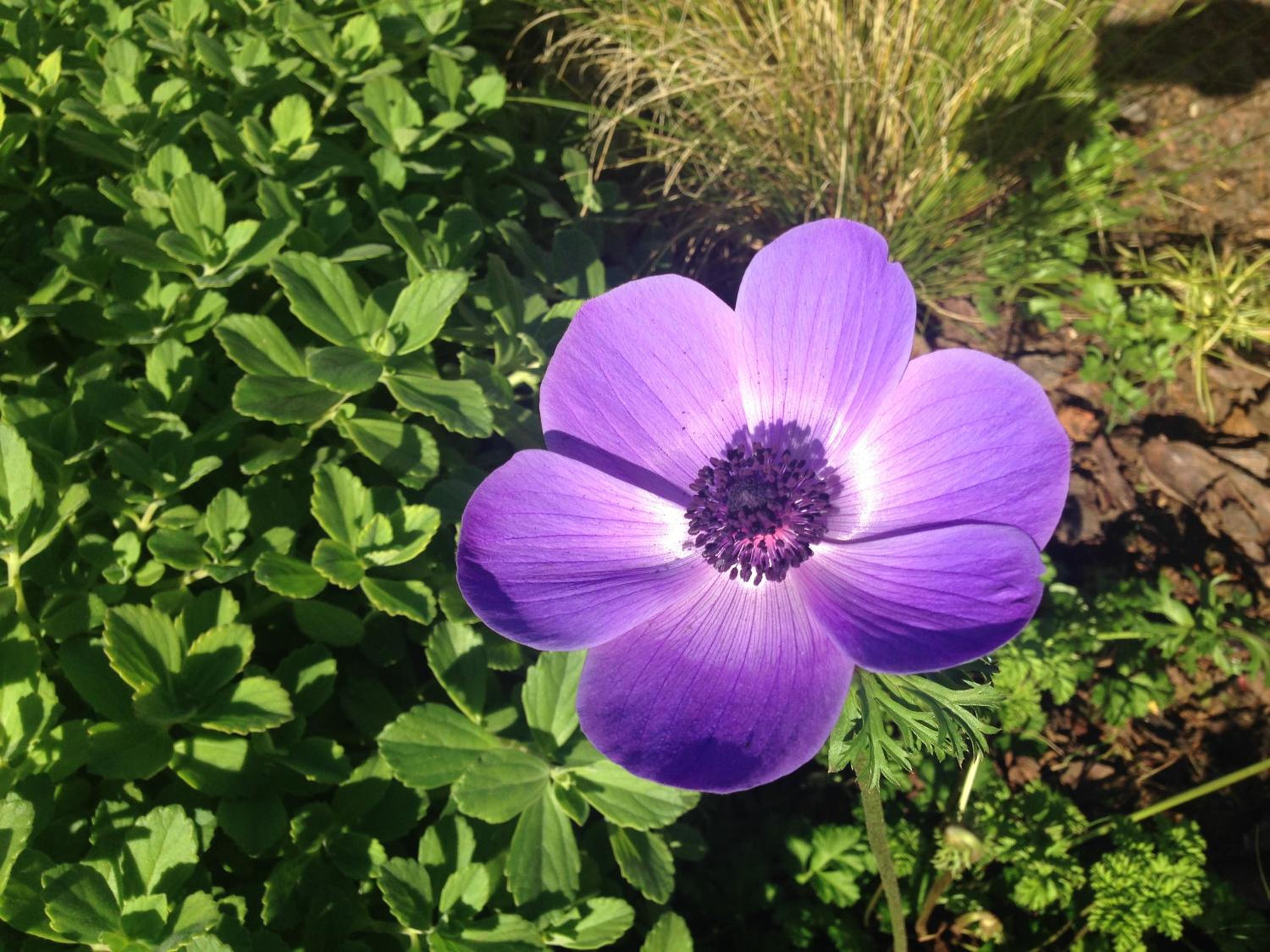 Photo 48