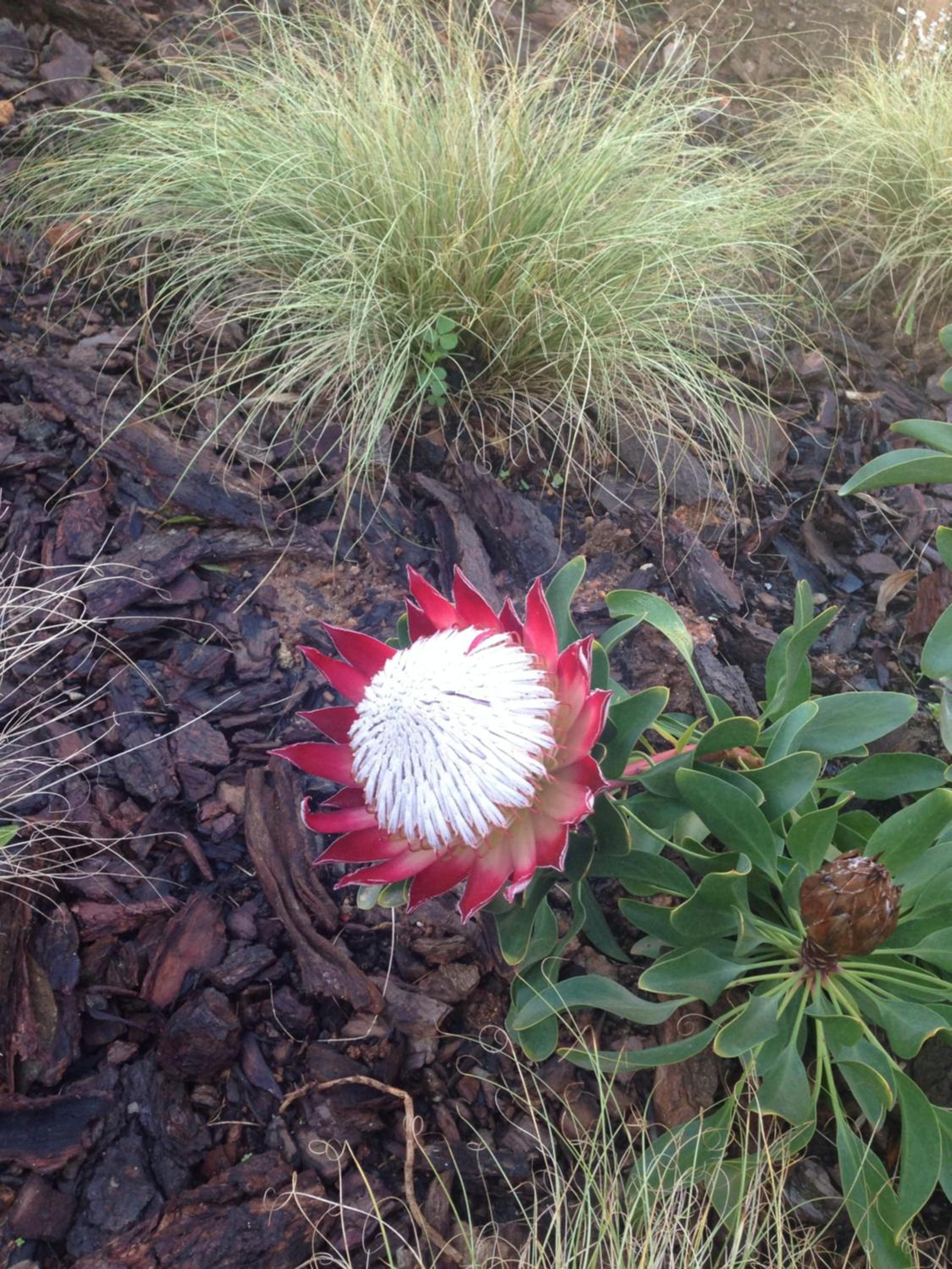 Photo 49