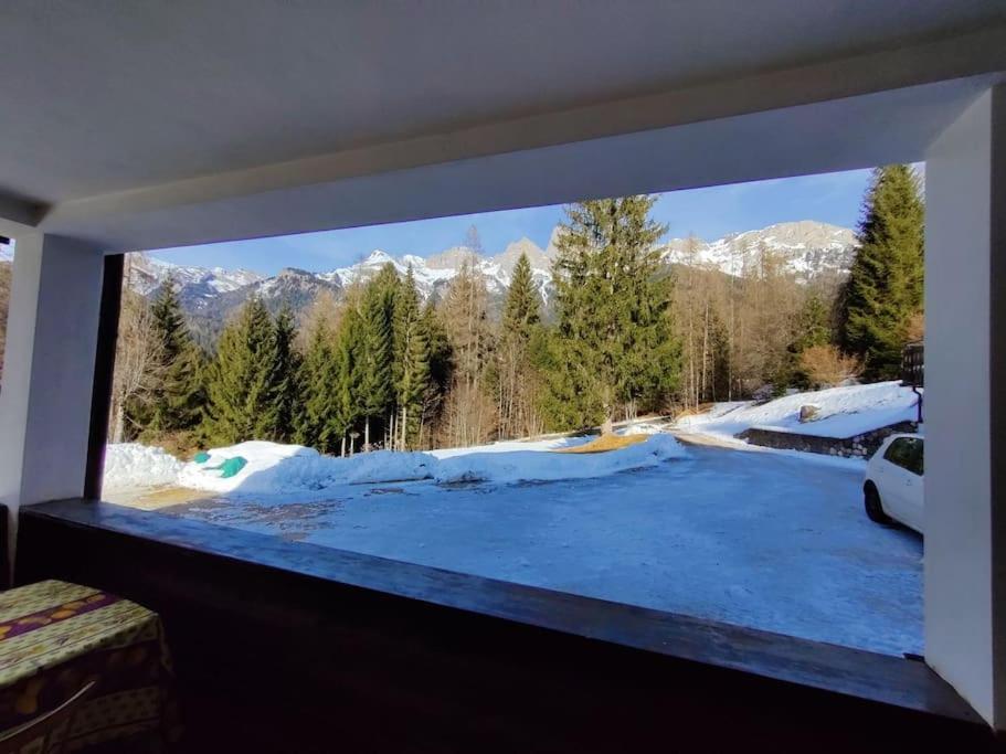 Falcade Dolomiti La Quiete piano terra view 4