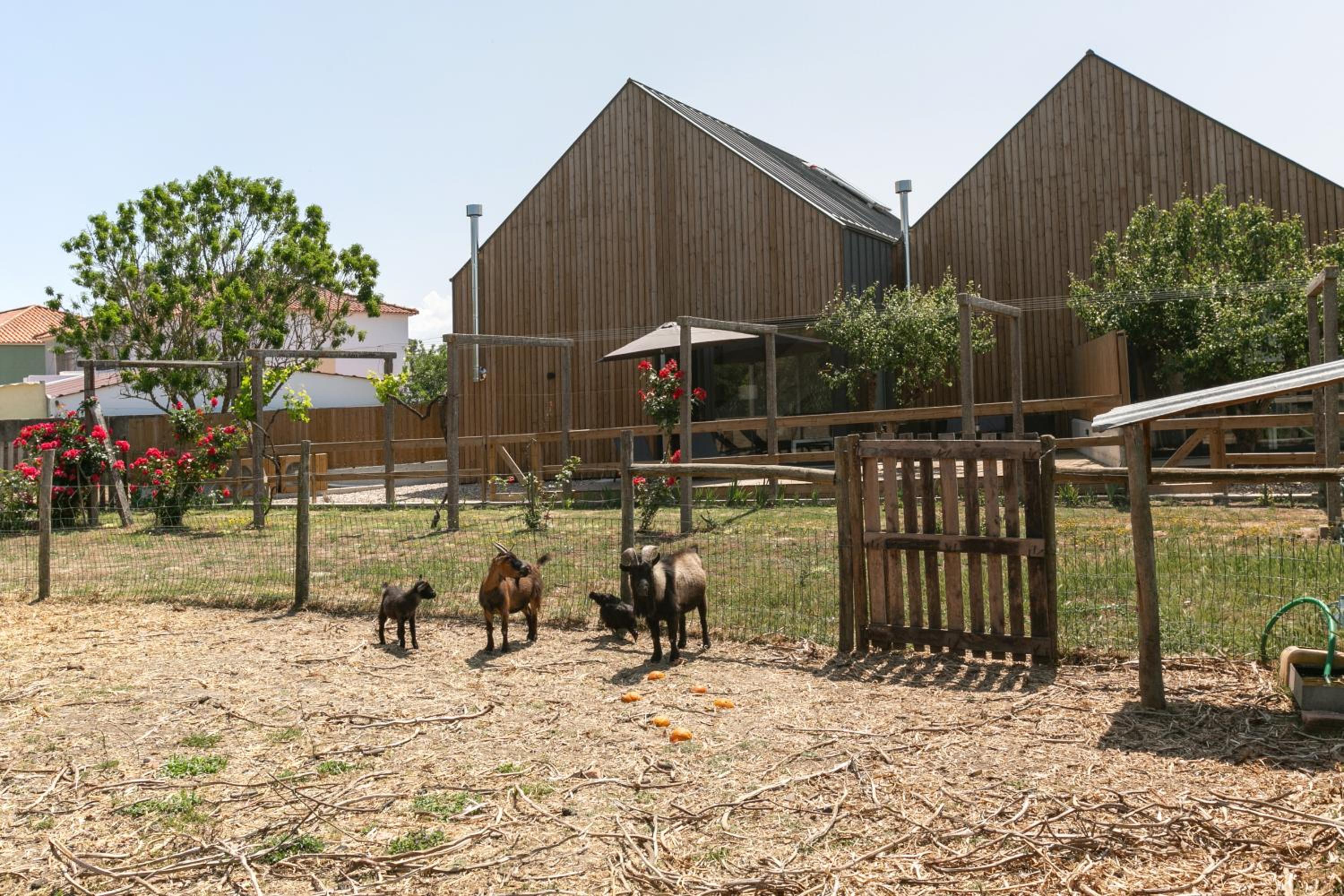 Villa Arneiro 1