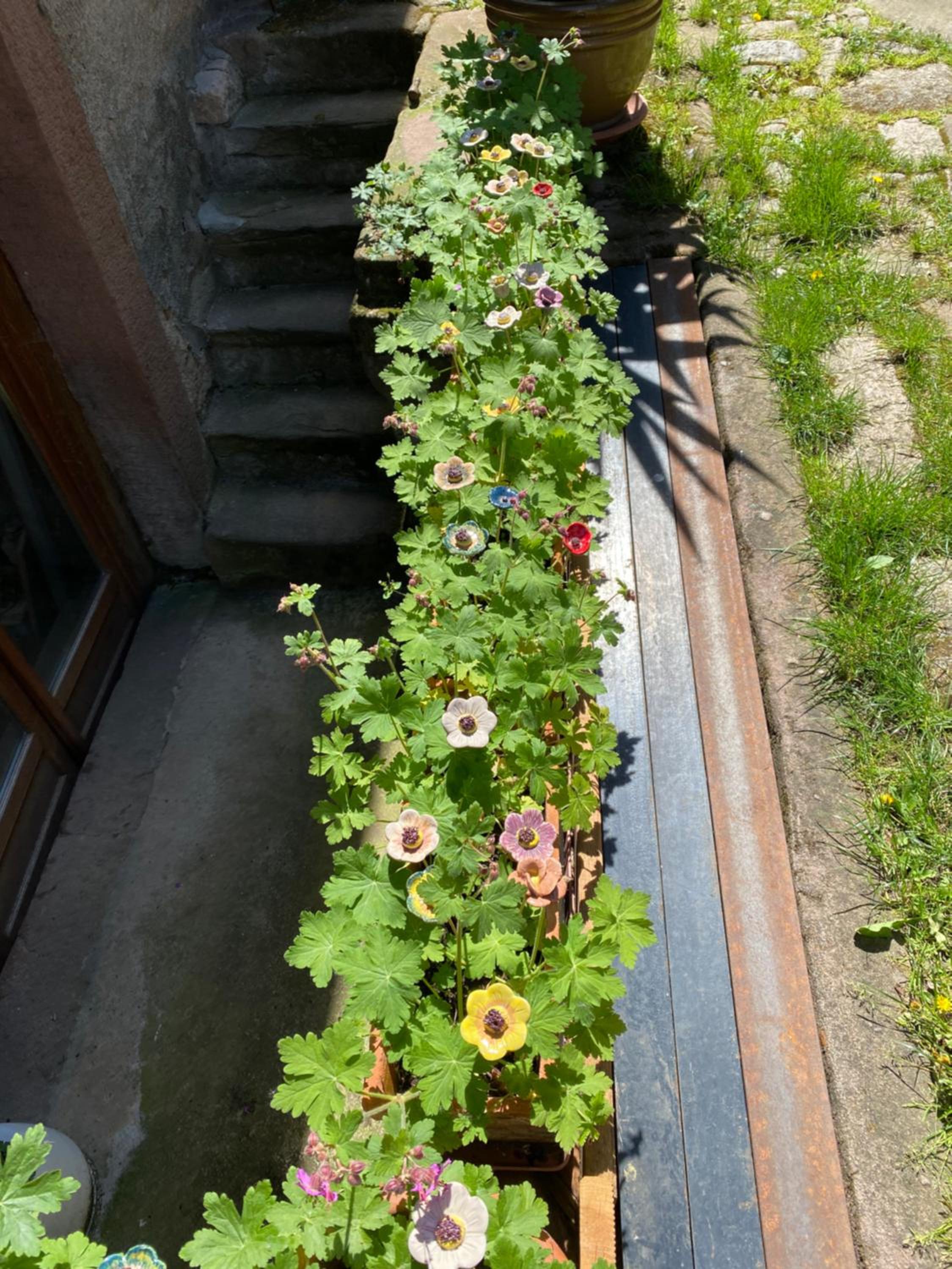 Photo 26
