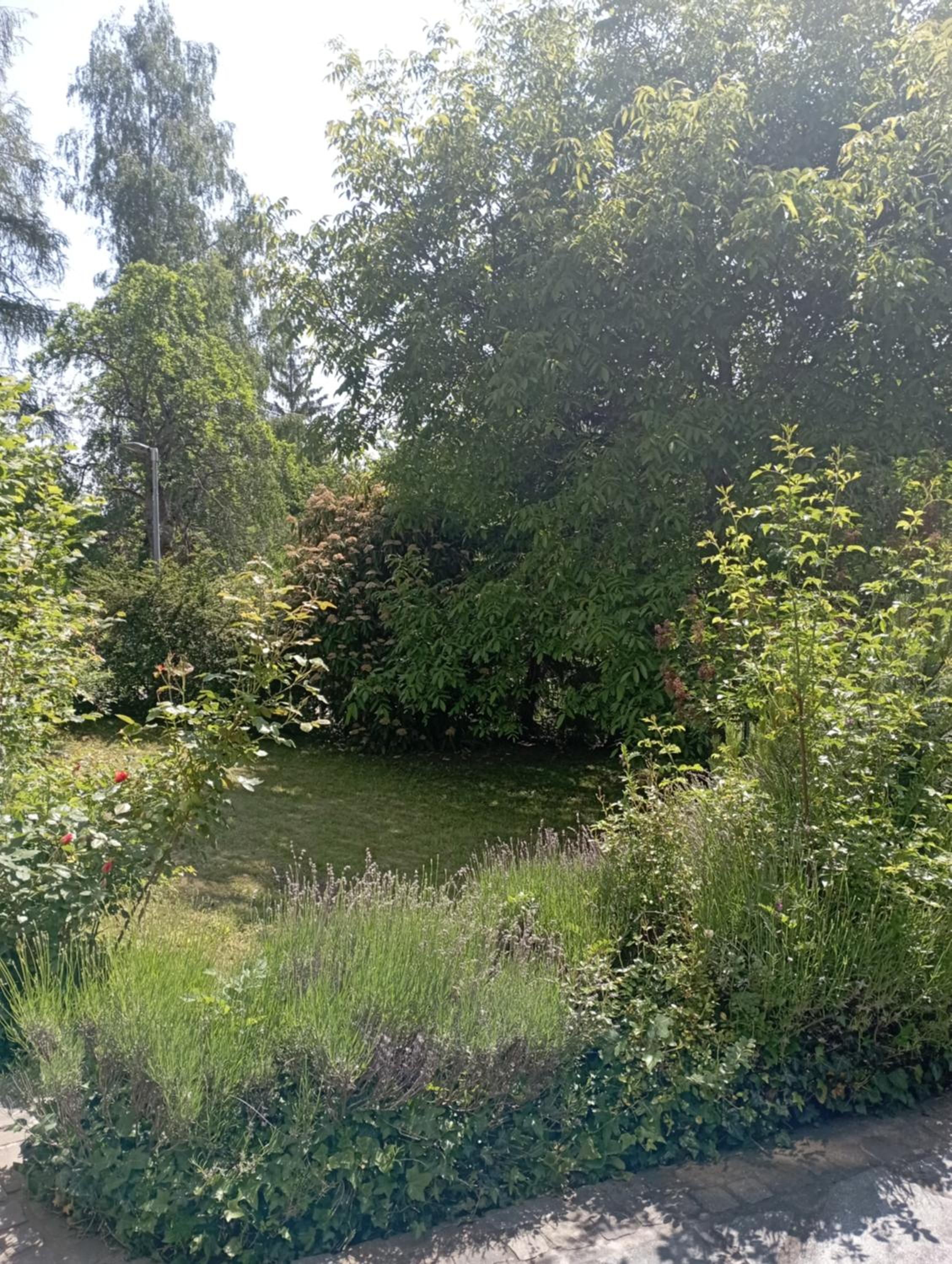 Obergeschoss - Katharina von Berg