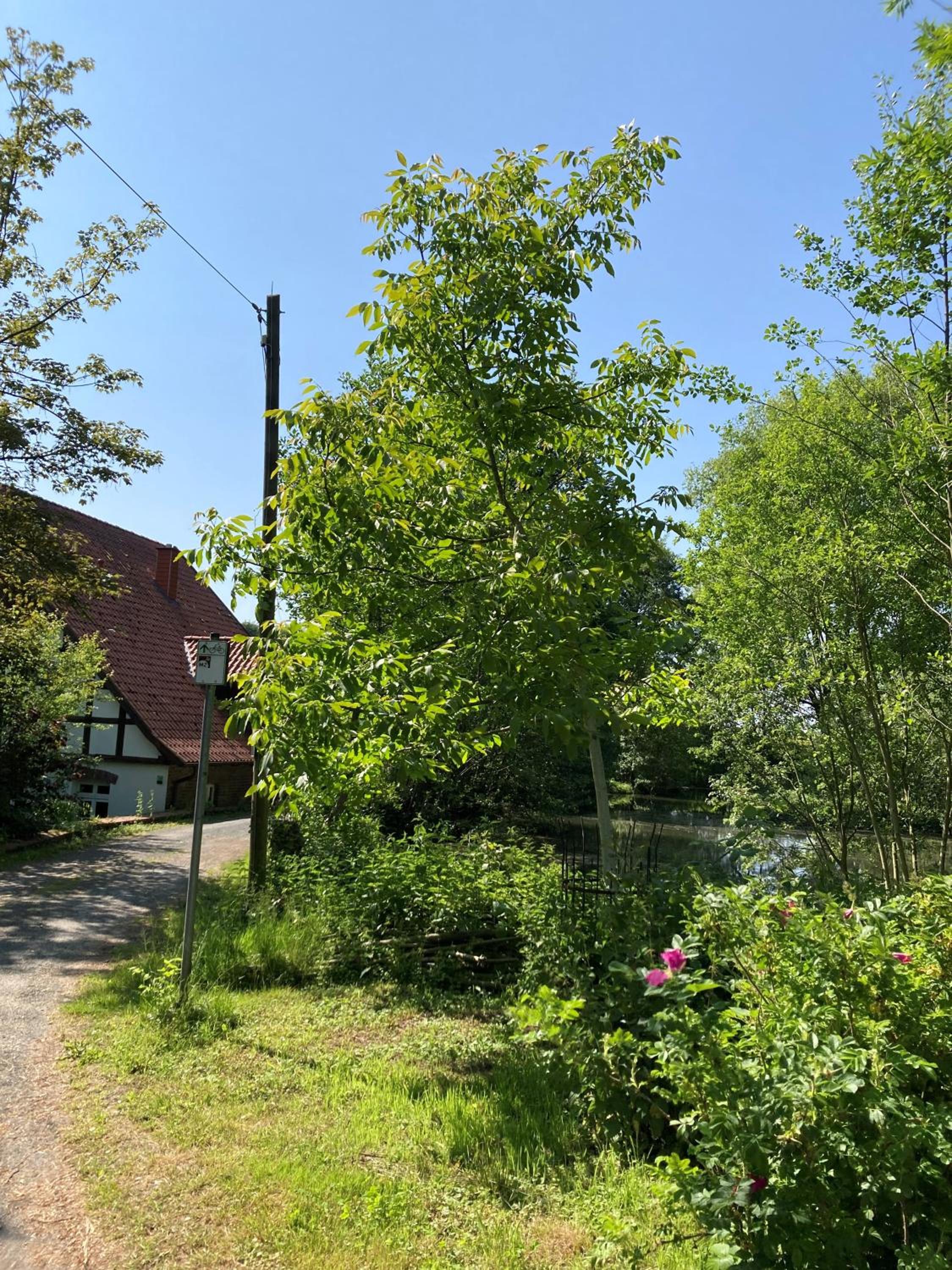 In der Wassermühle