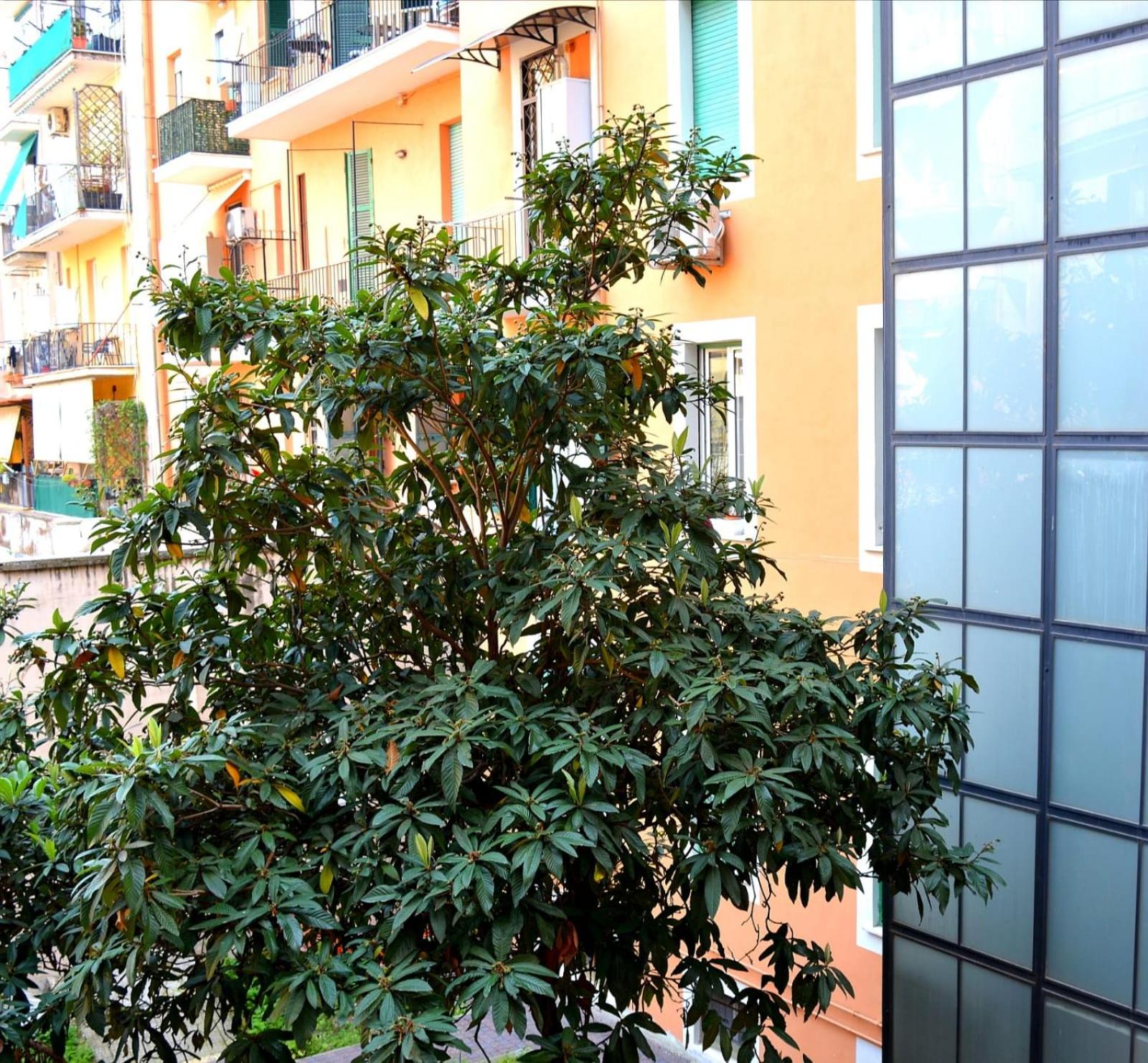 Casa Vacanza Home Sweet Home di Fatha
