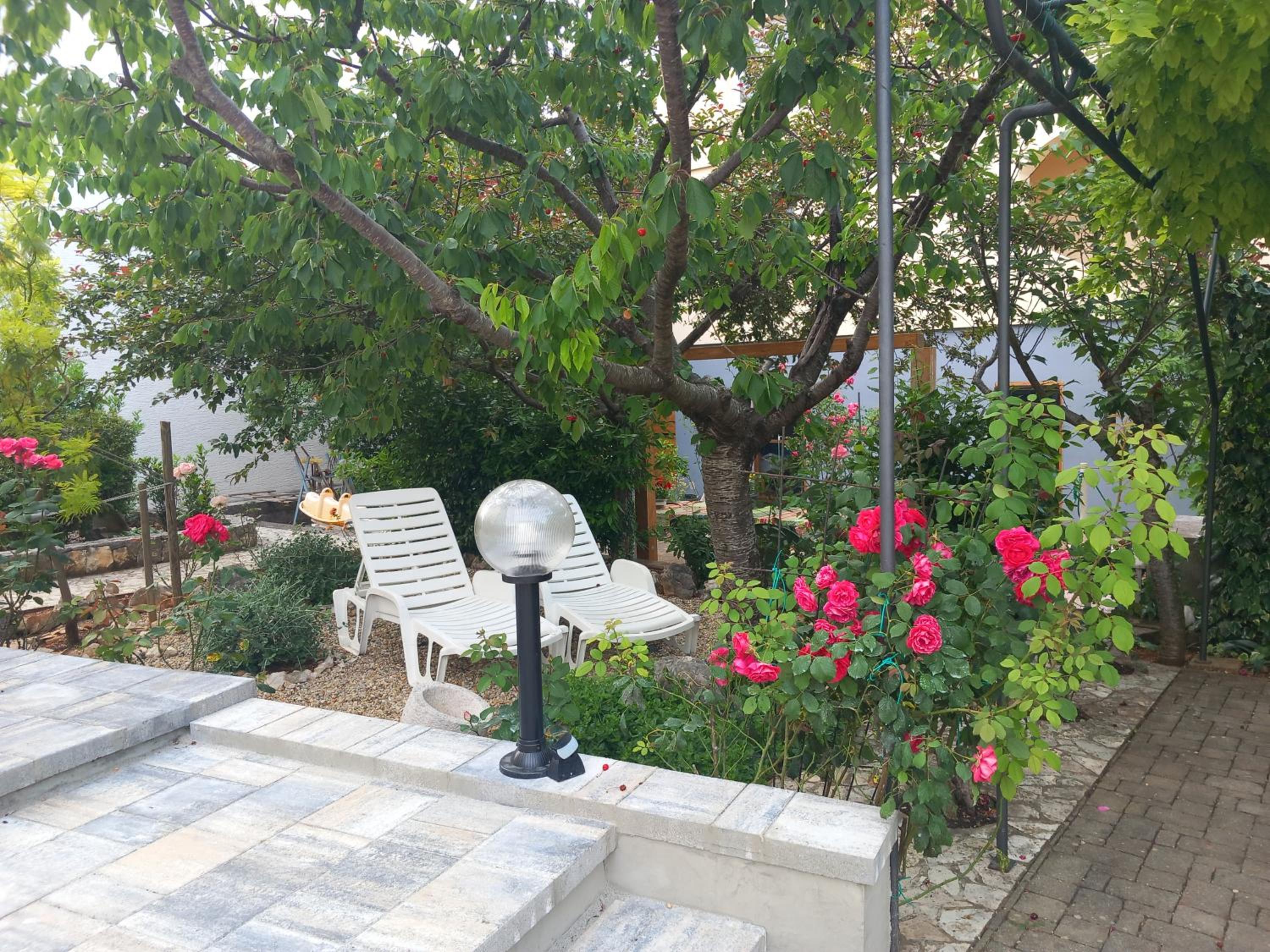 Photo 7