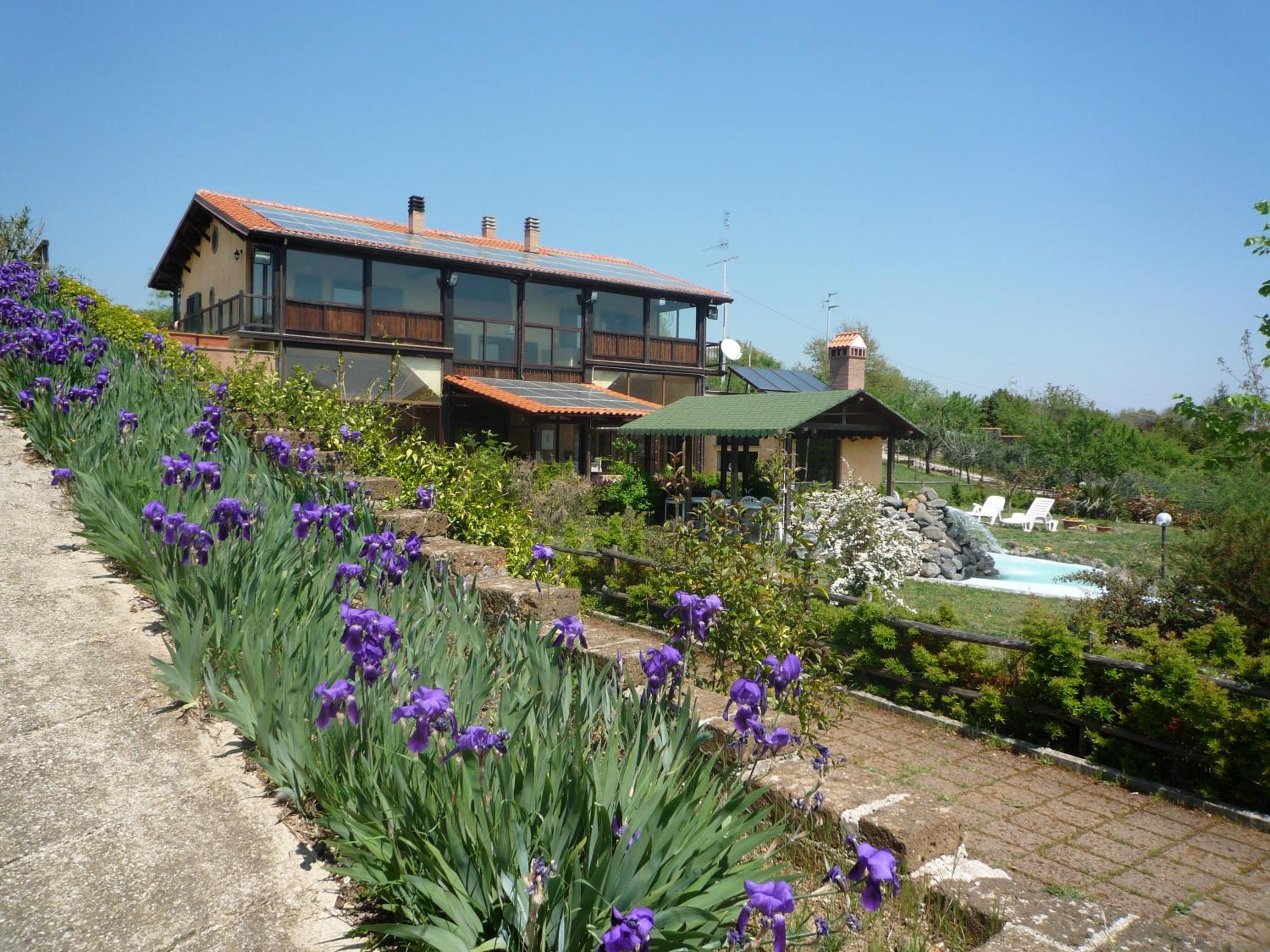 Photo 6