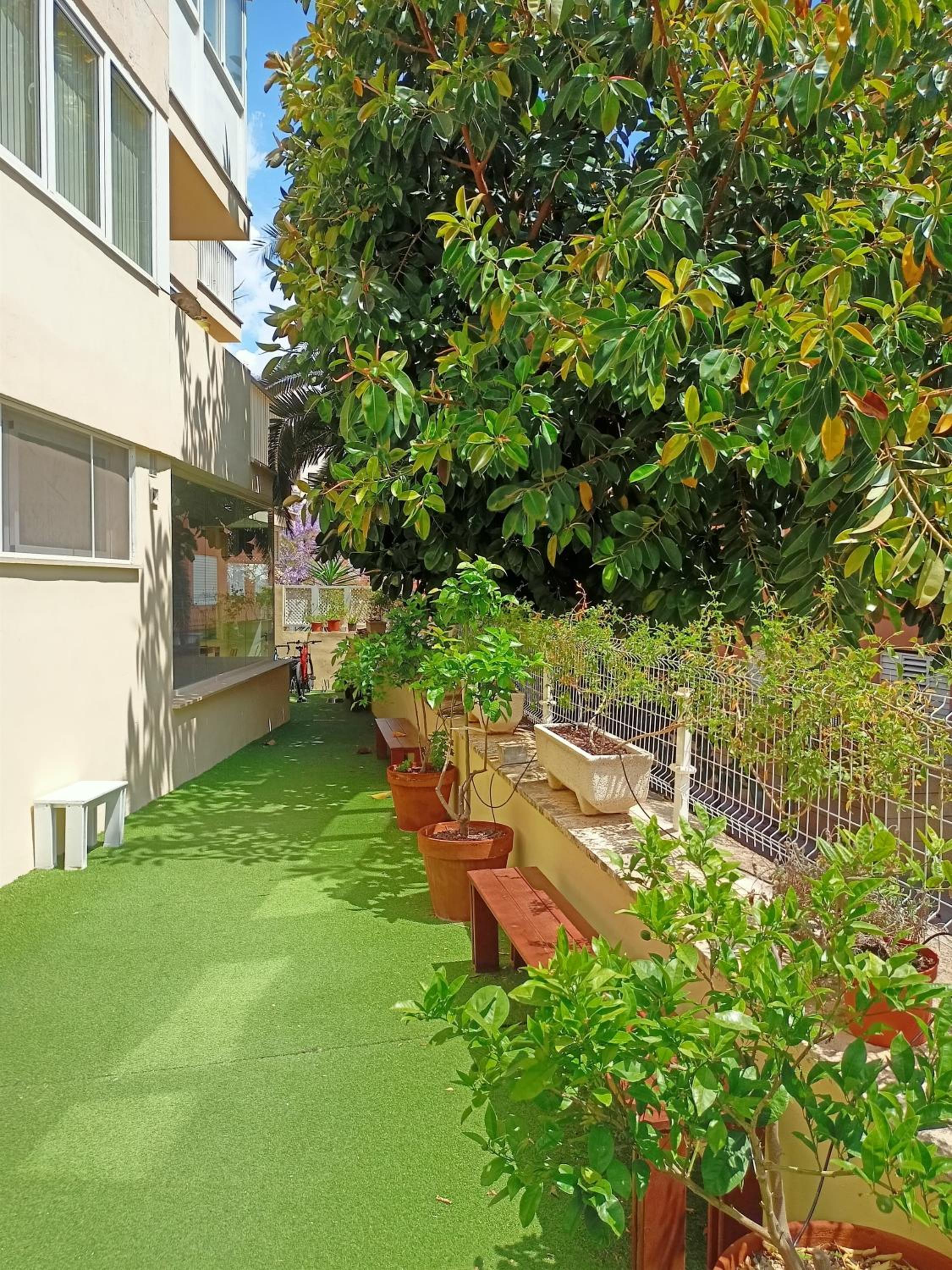 Palma Port Hostel - Albergue Juvenil view 5