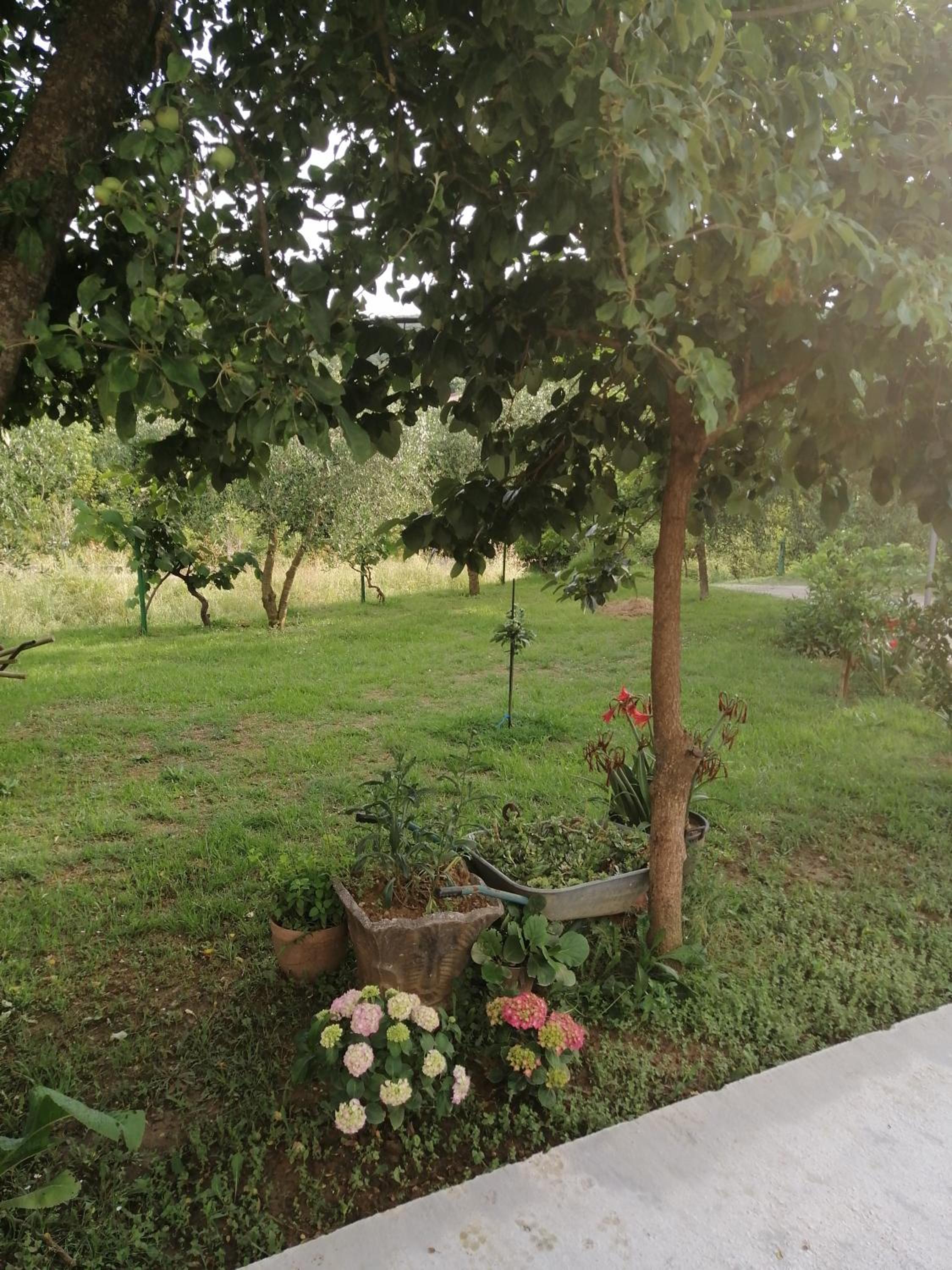 Apartman Petovic