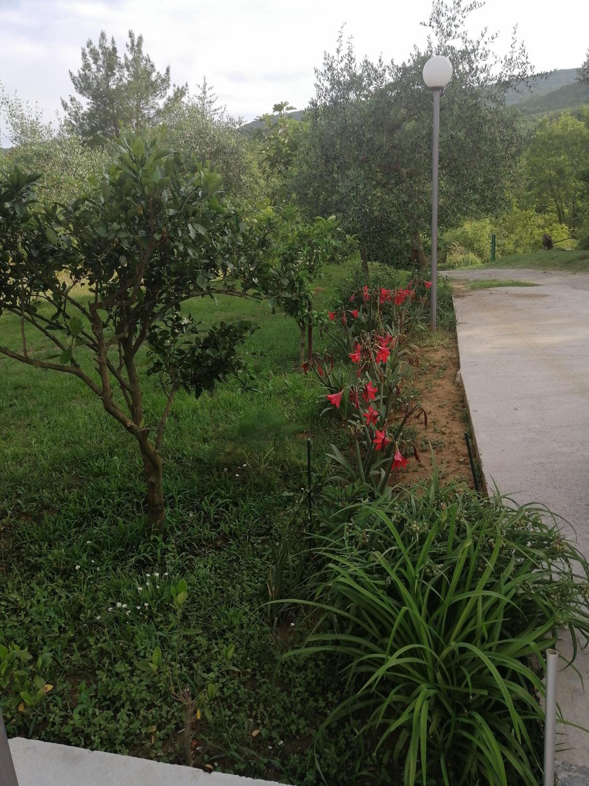 Apartman Petovic
