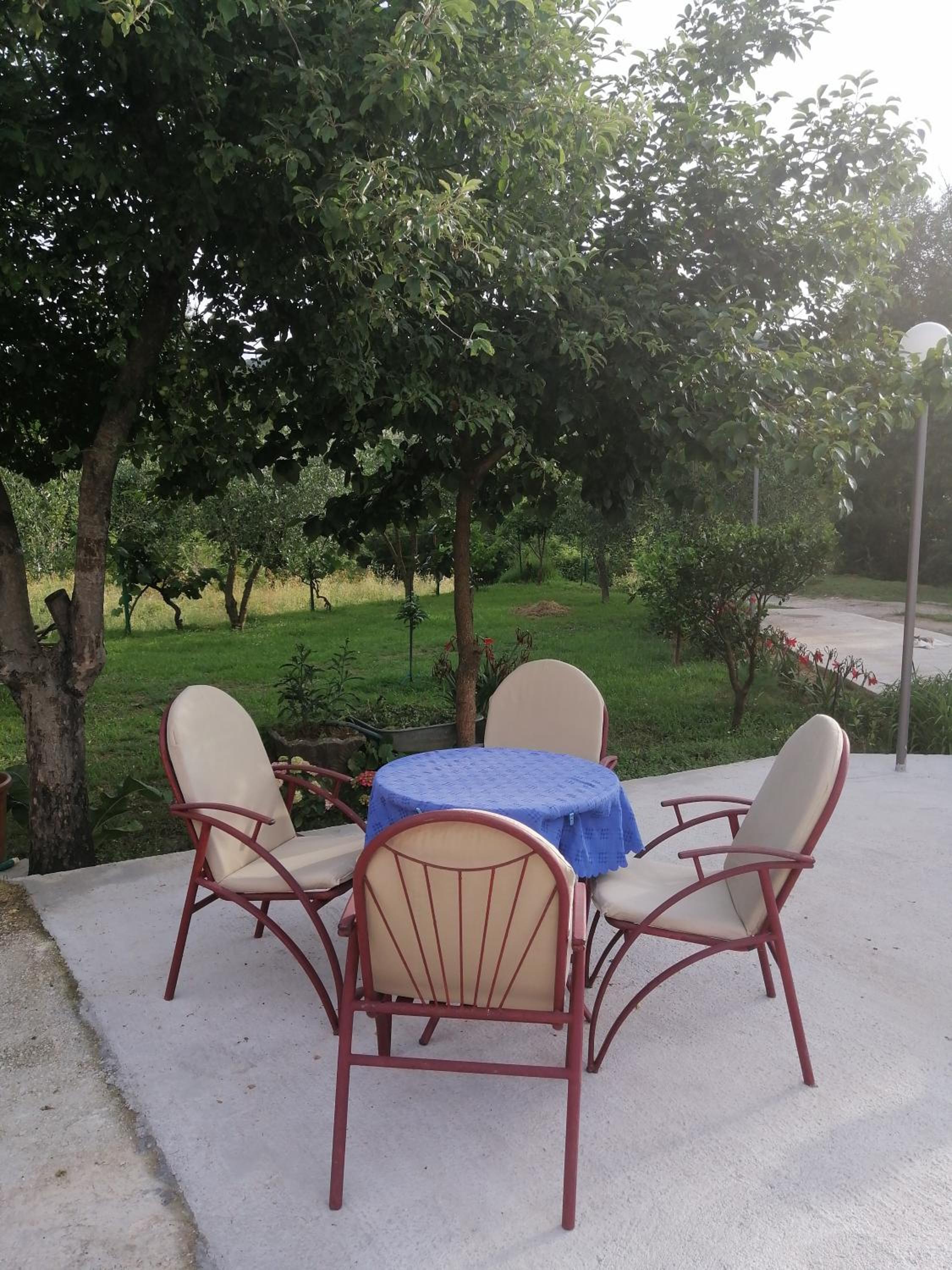 Apartman Petovic