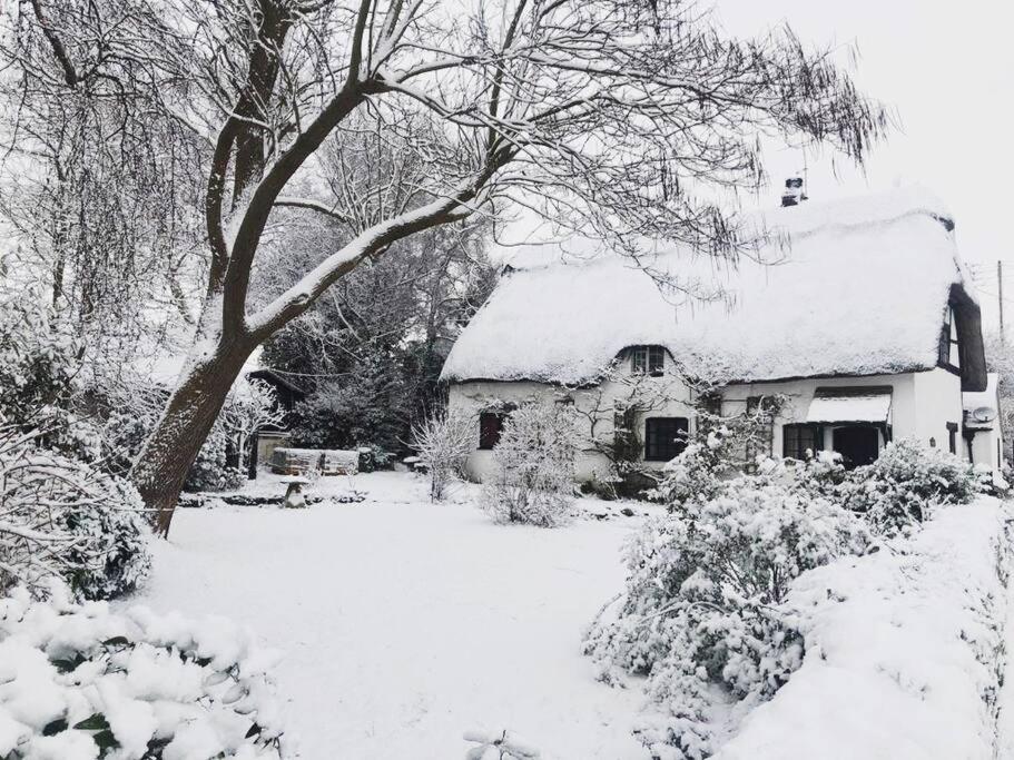 Cider Mill Cottage