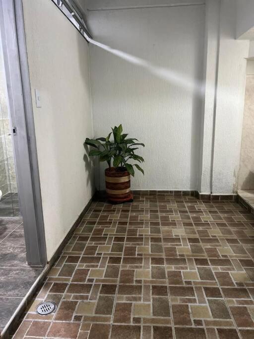 Espectacular Alojamiento piso bajo