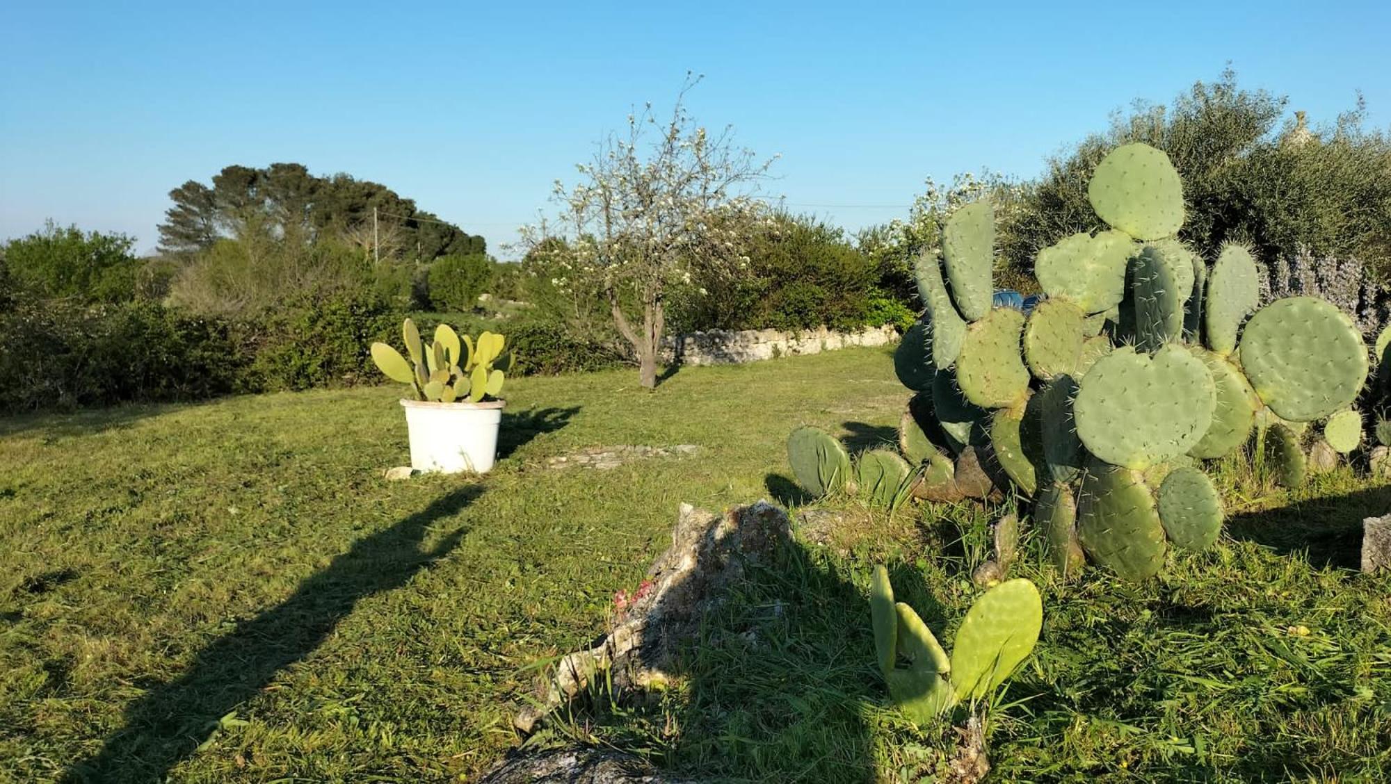 Trullo Raimondo