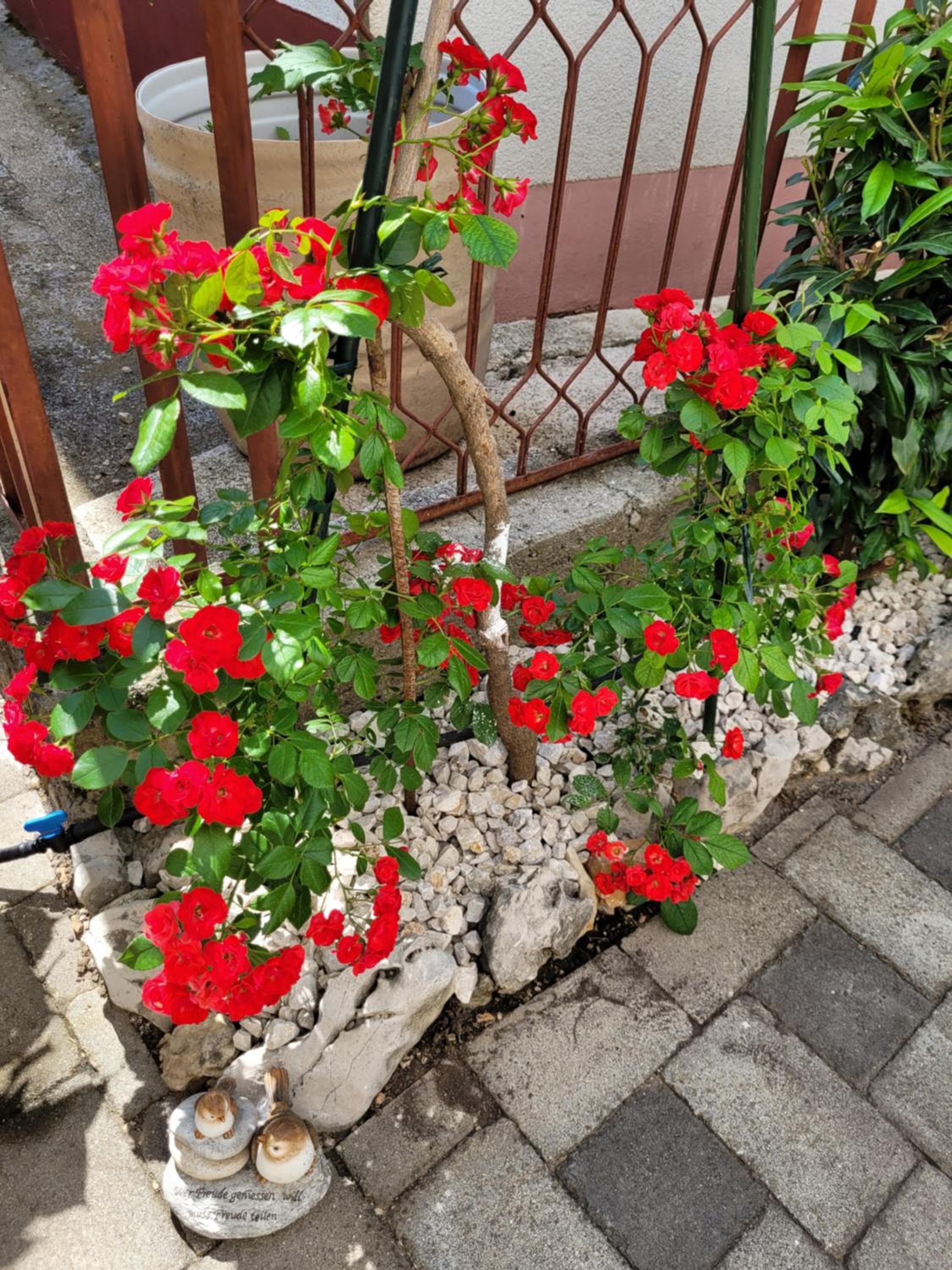 Ljubica Apartman