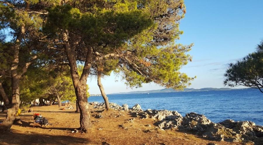 Apartman Rosa