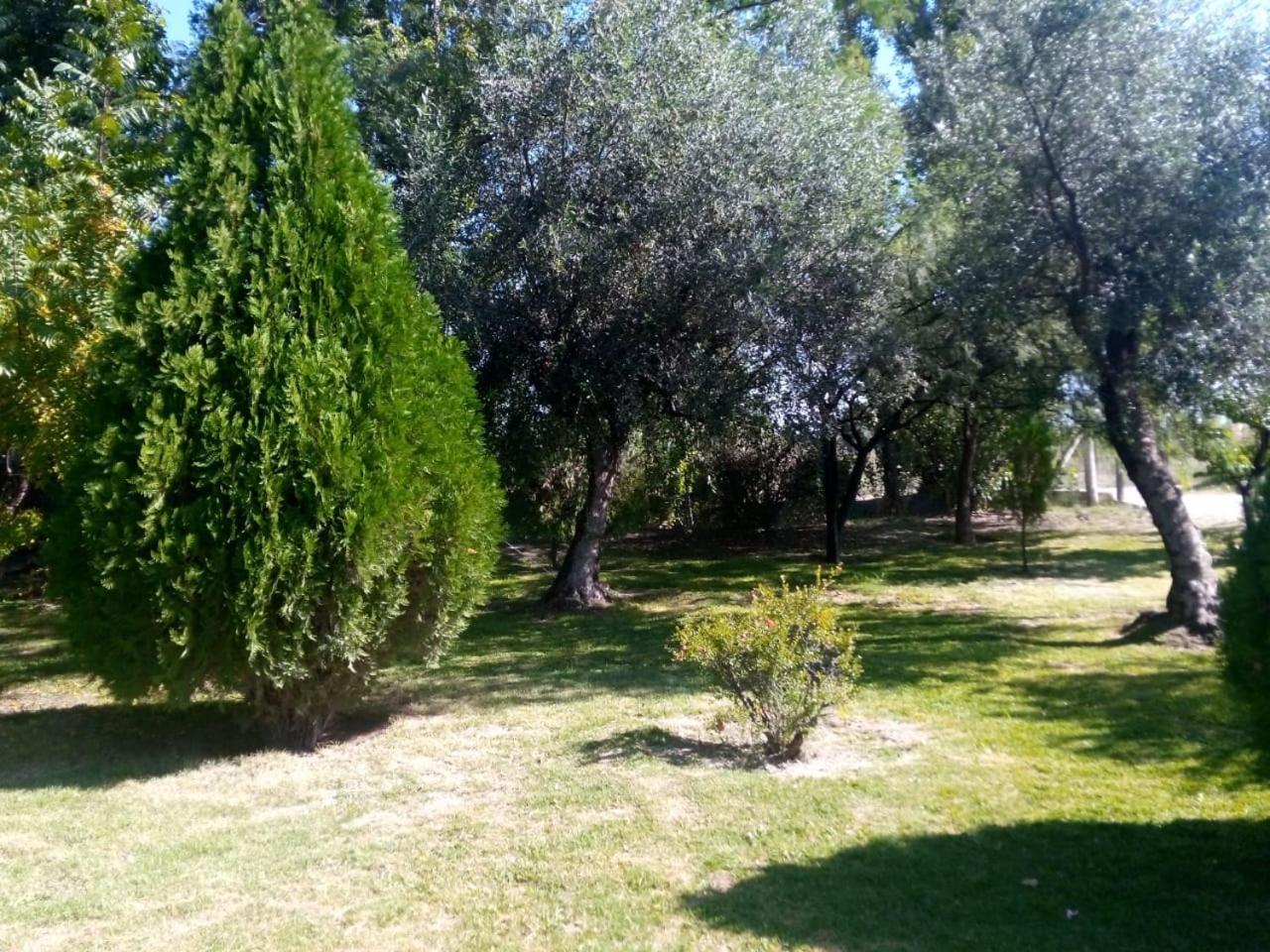 Quinta La Martita