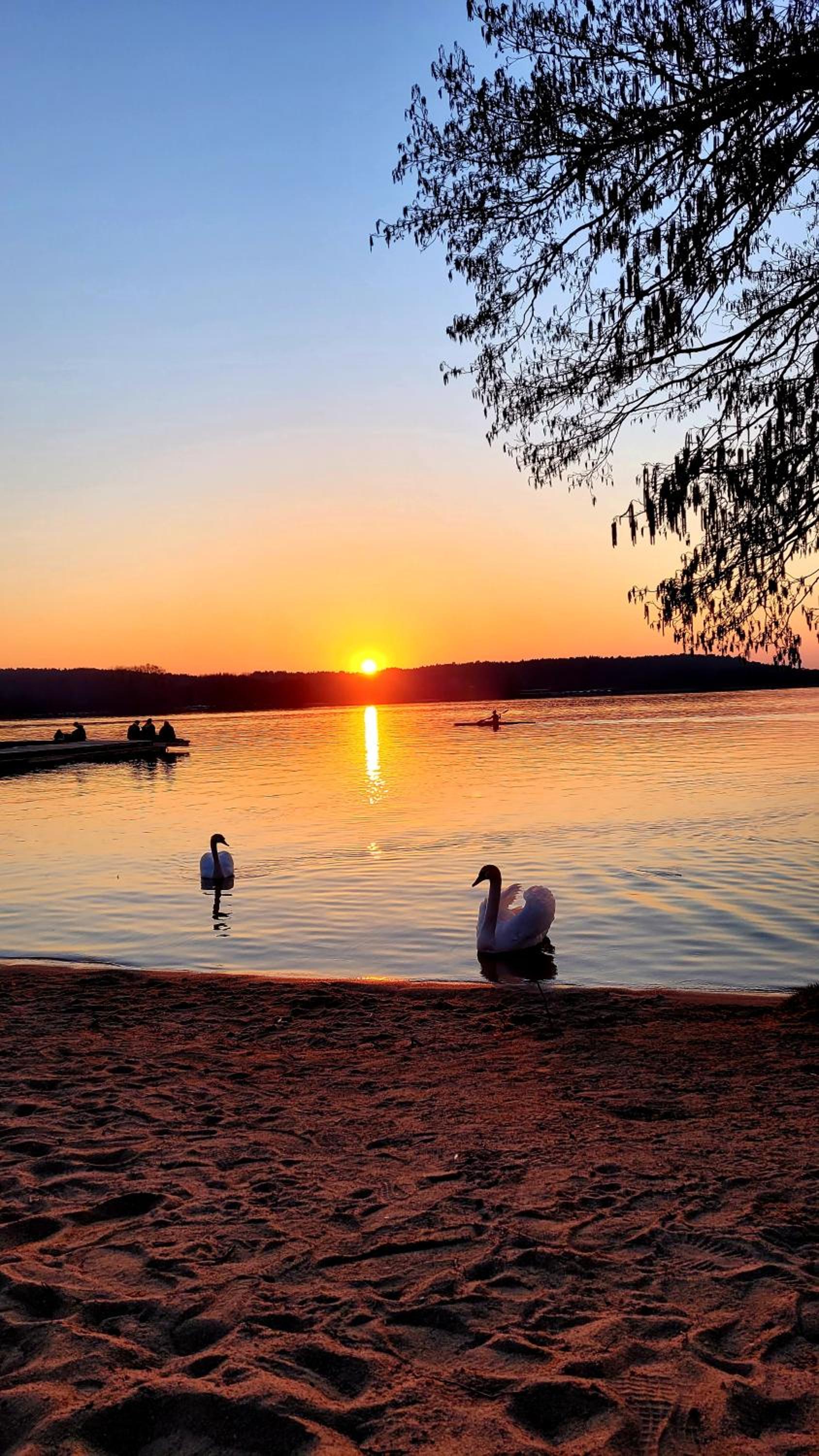 Ukiel Park 21 by RENT4YOU
