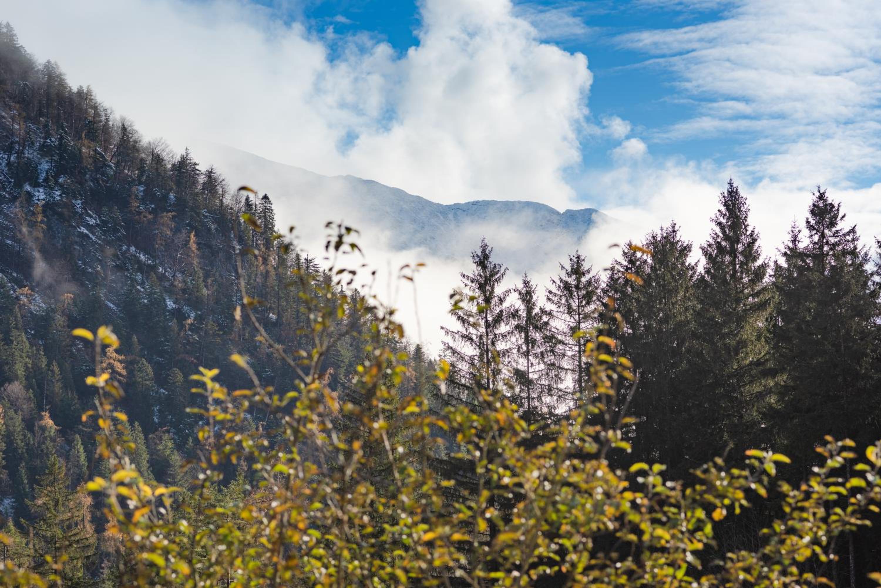Beim Waicher Chalets & Suiten zwischen Salzburg und Chiemsee