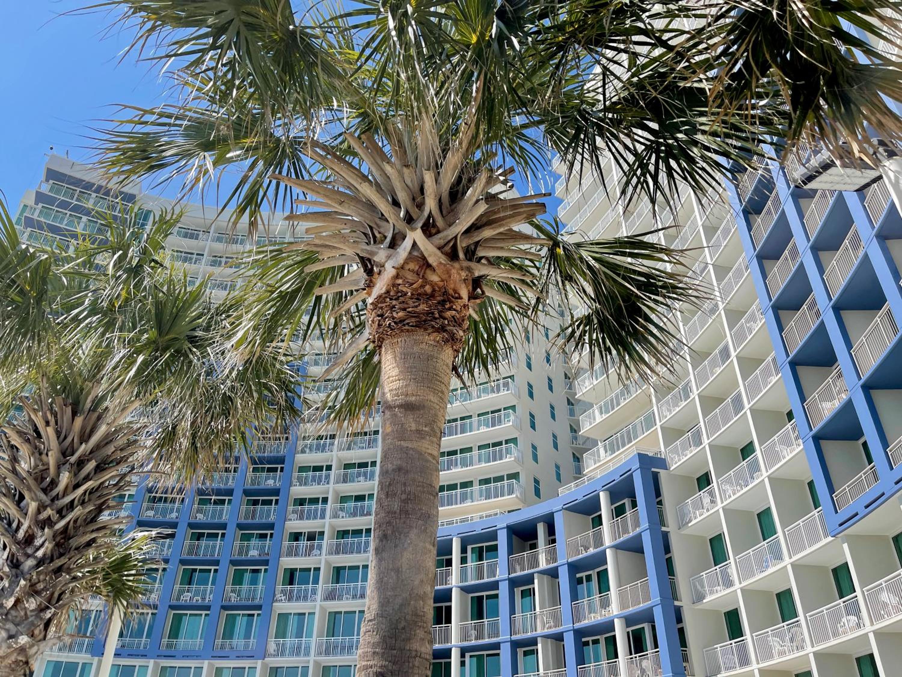 Avista Resort, photo 109