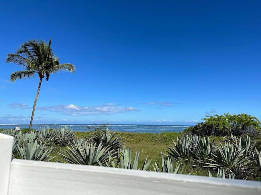 Appartement Margouillat sur la plage et lagon de La Saline