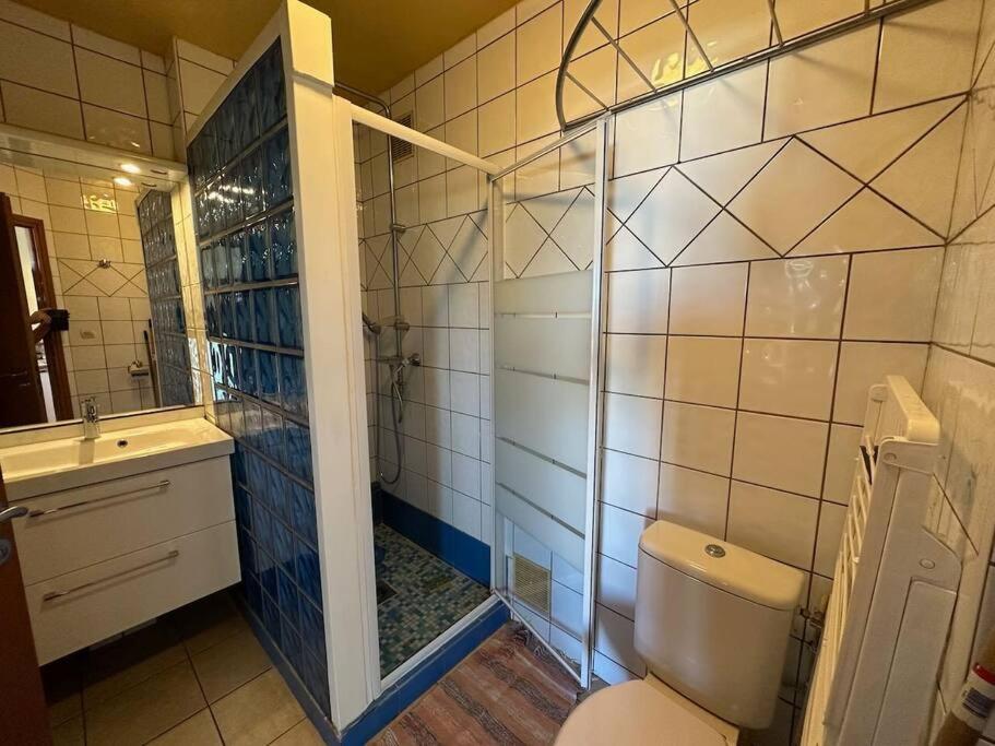 Appartement Margouillat sur la plage et lagon de La Saline