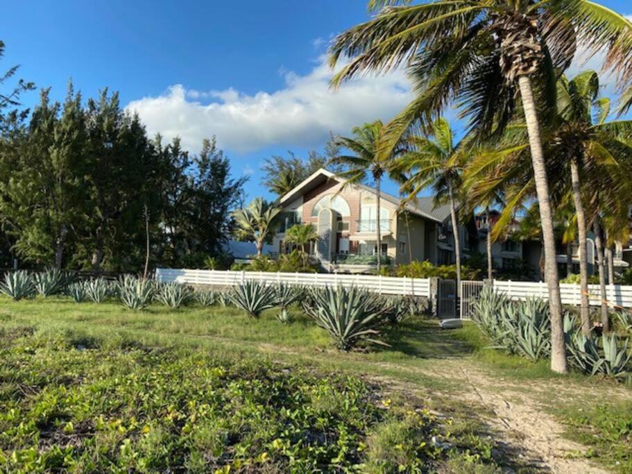 Appartement Margouillat sur la plage et lagon de La Saline