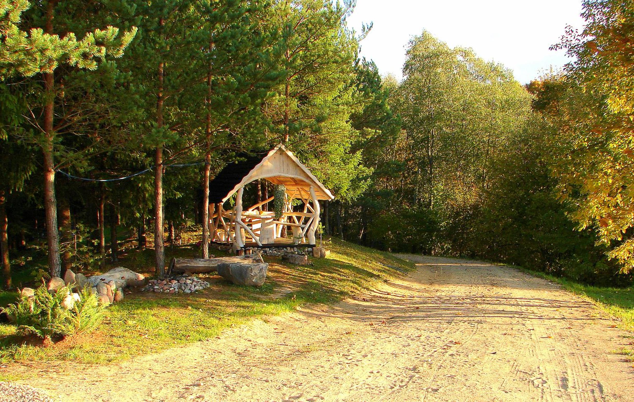 Photo 12