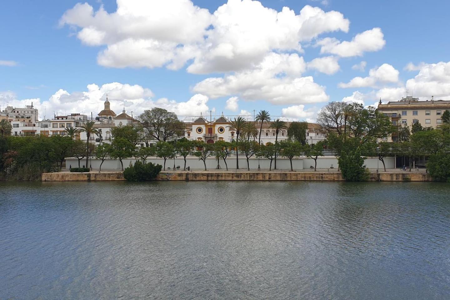 Mara Arenal Sevilla