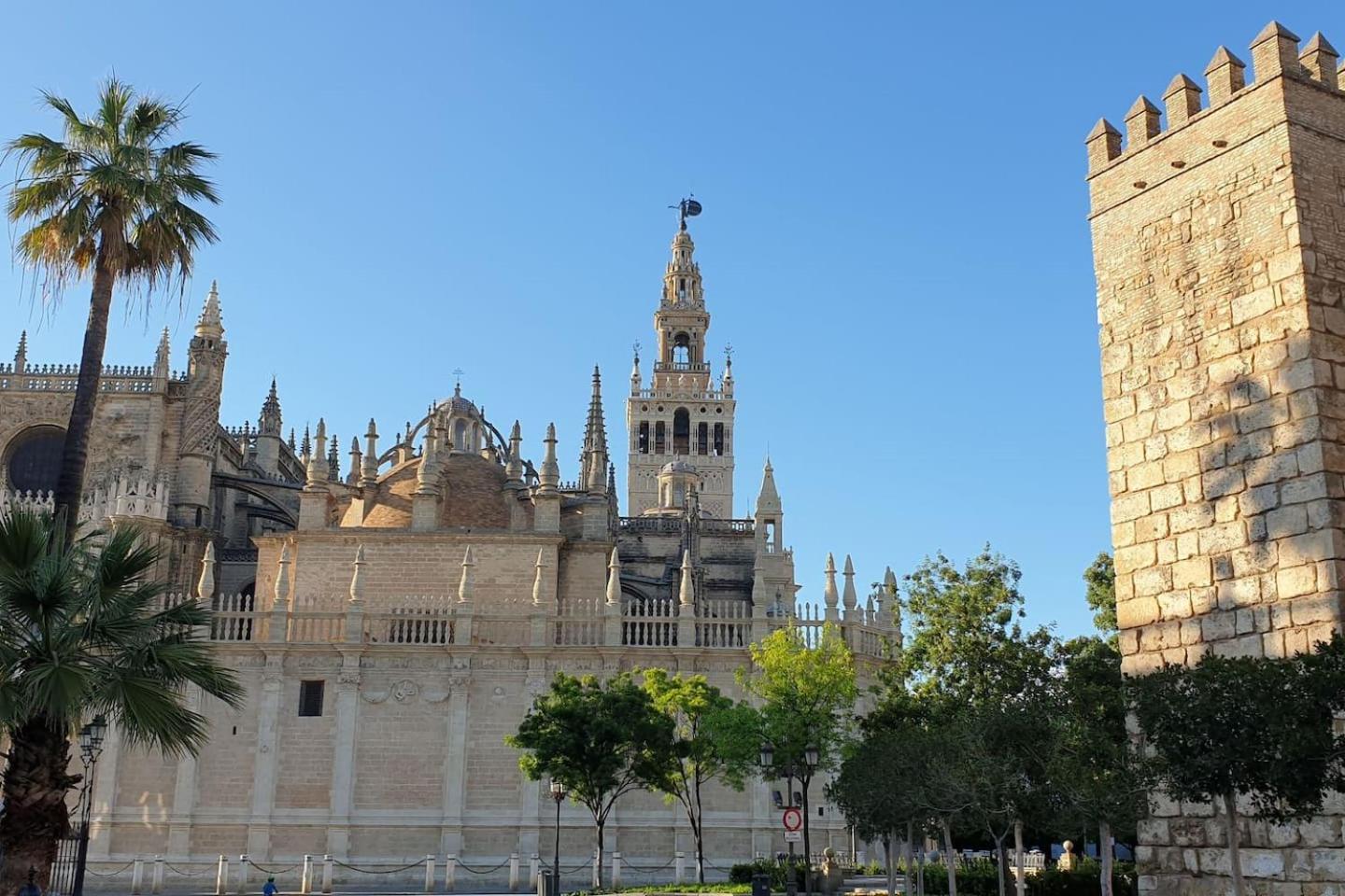 Mara Arenal Sevilla