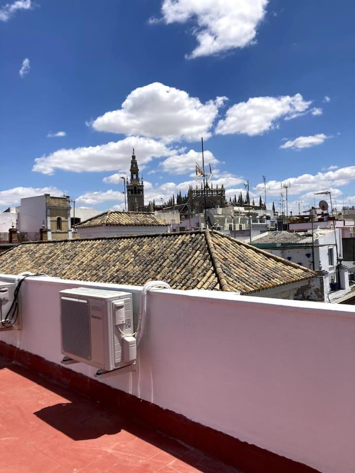 Mara Arenal Sevilla