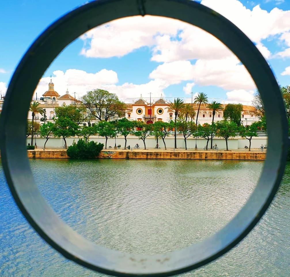 Mara Arenal Sevilla