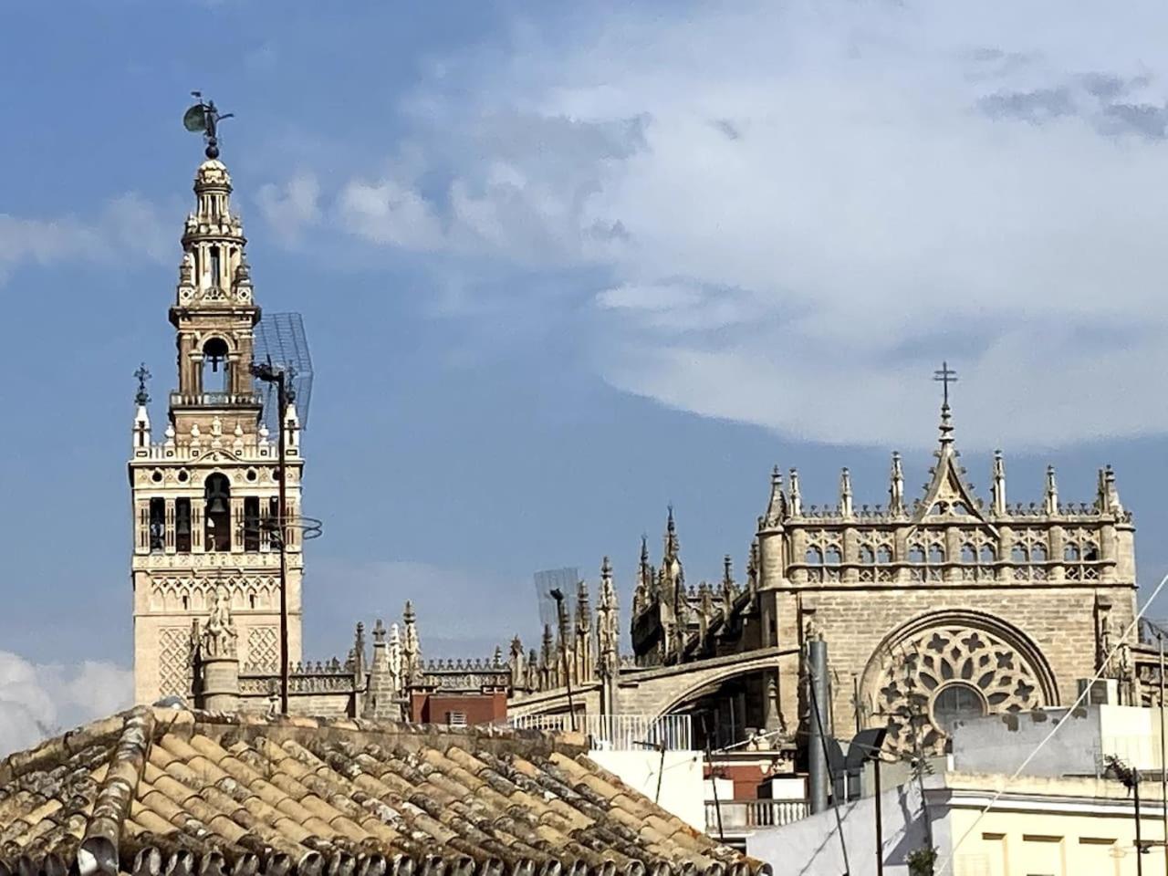 Mara Arenal Sevilla