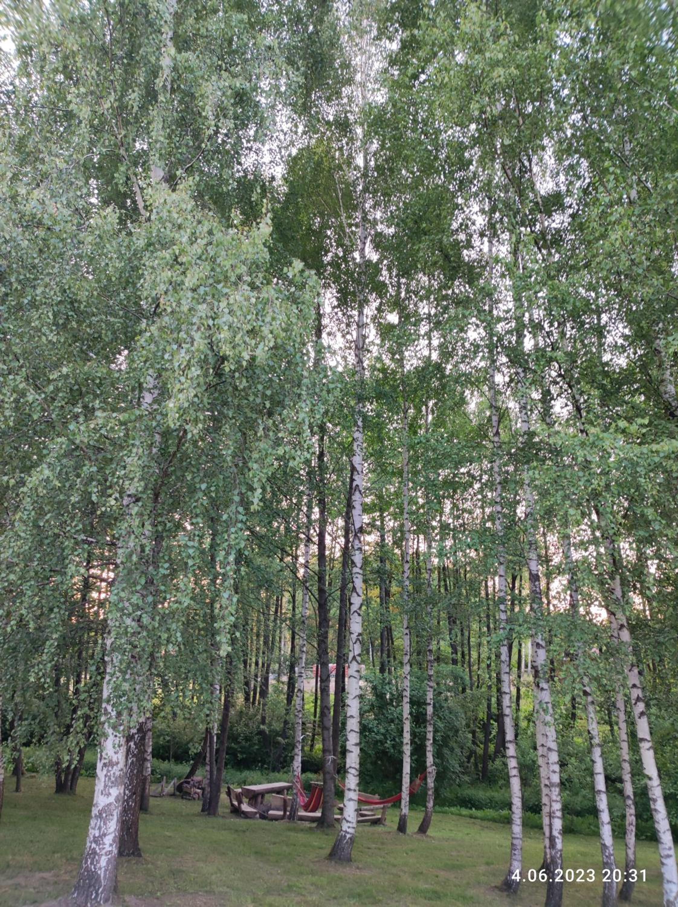 Photo 23