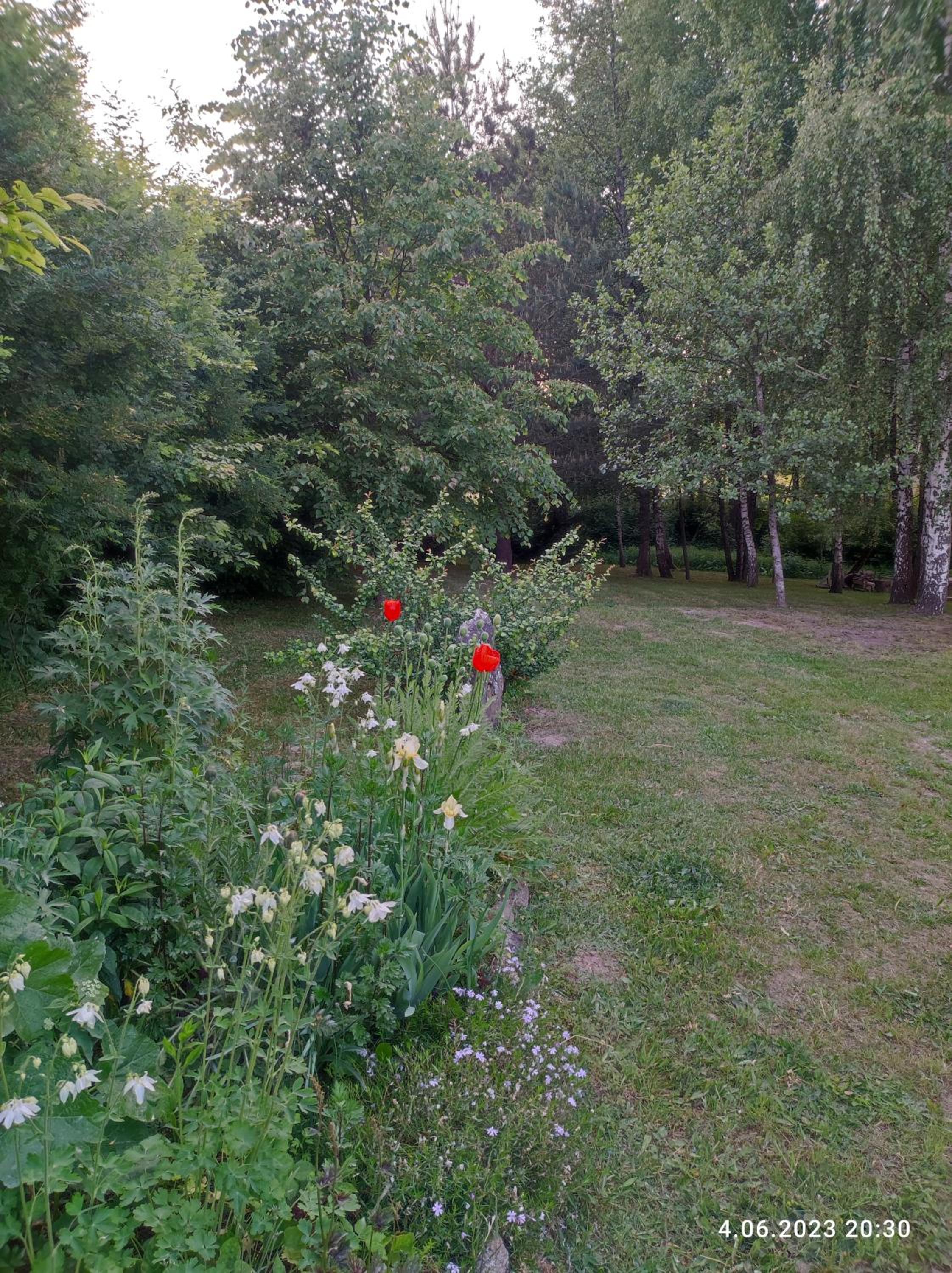 Photo 16