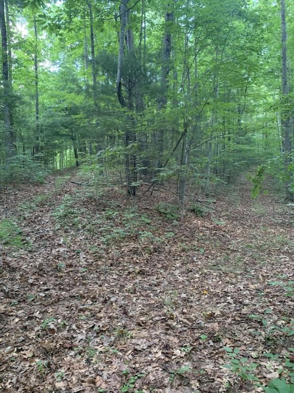 Quiet, Mountain View Escape with 40+ private acres - 3 mi from downtown Saluda view 4